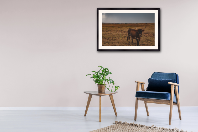 6A8E2D12-7696-4A8F-ACB8-1A410E213003