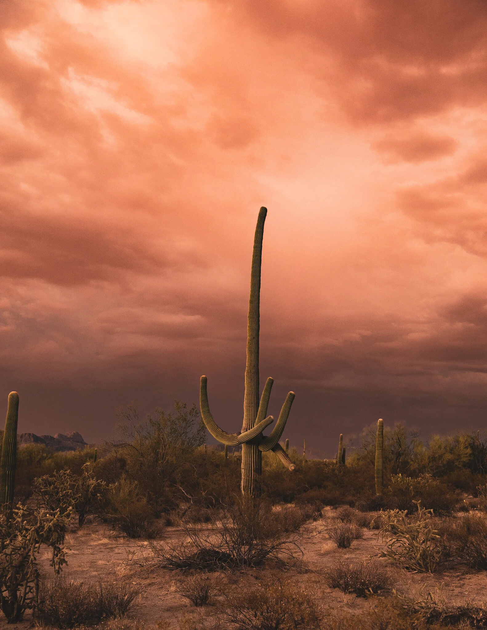 91FFE41F-BA95-4D3E-8C75-73E5E5A7A76F