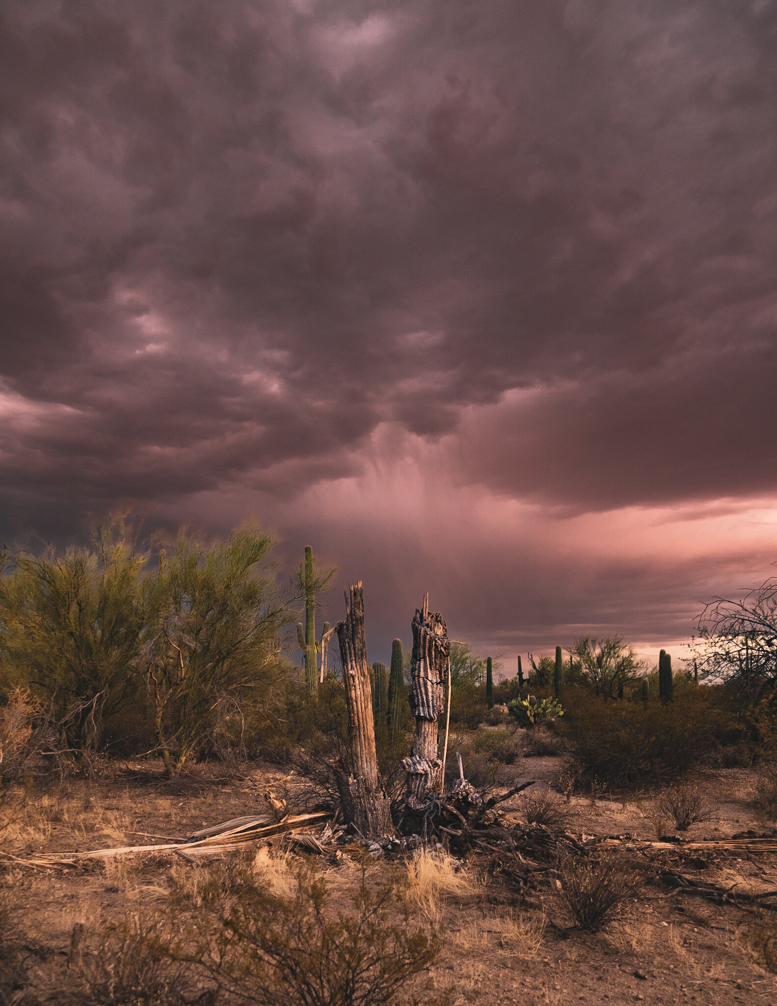 3BC2EA2D-48D1-4C35-8C37-D635D0676D72