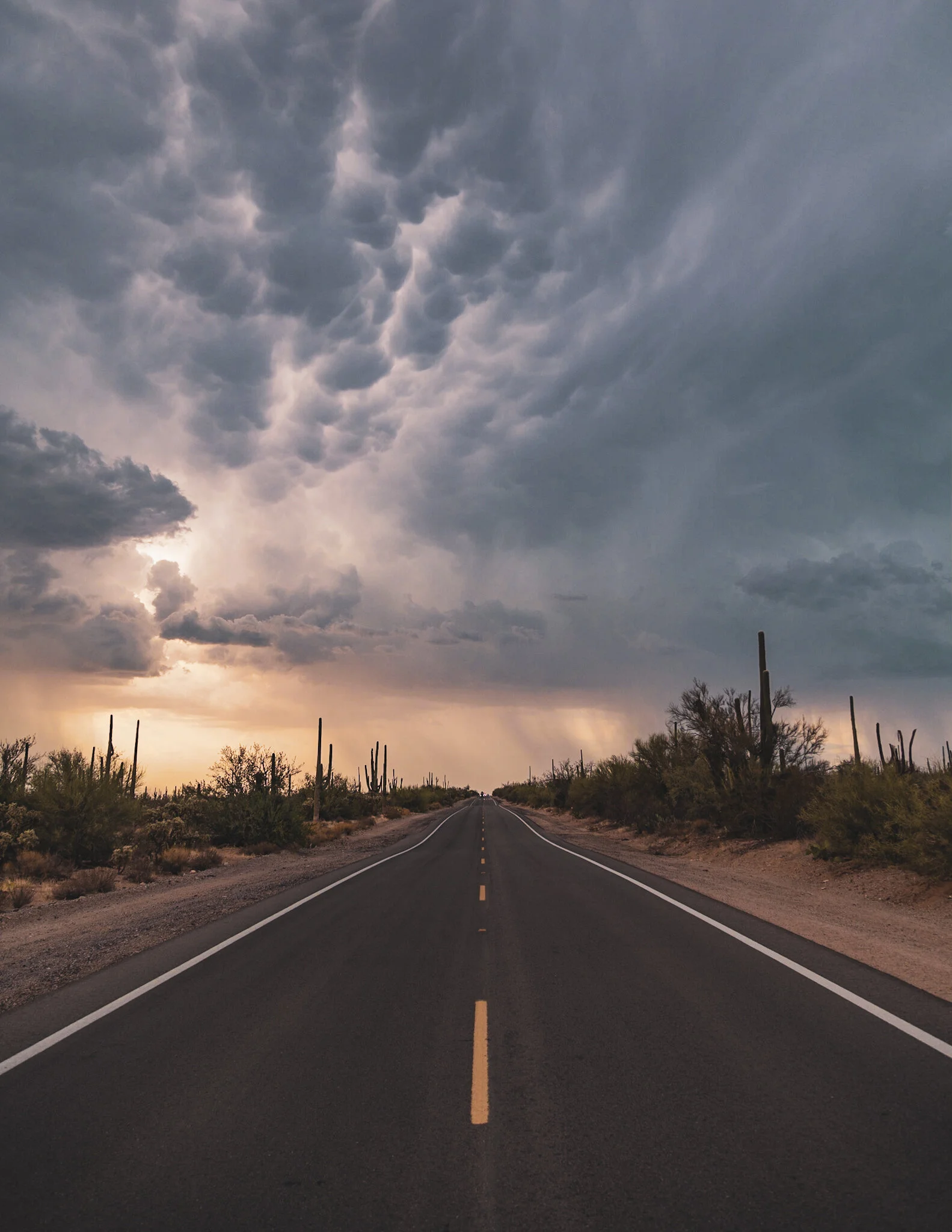 0D4214A1-93B8-481B-AA9B-2030E1958098