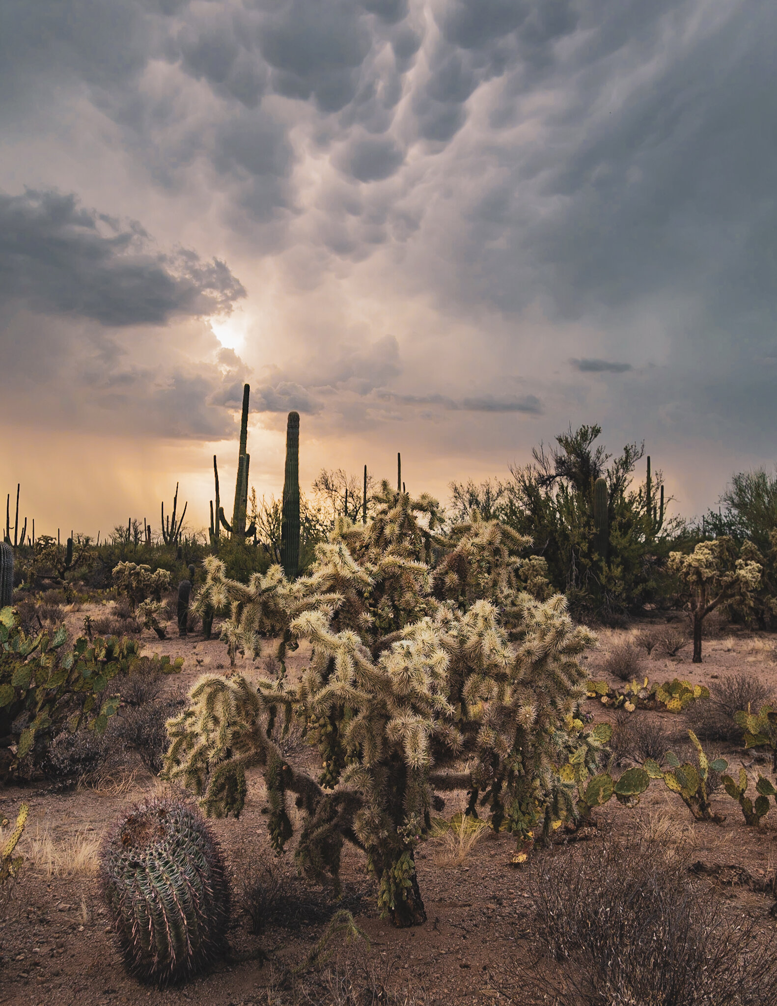 B781C461-2576-4826-A160-709D1E4E9A60