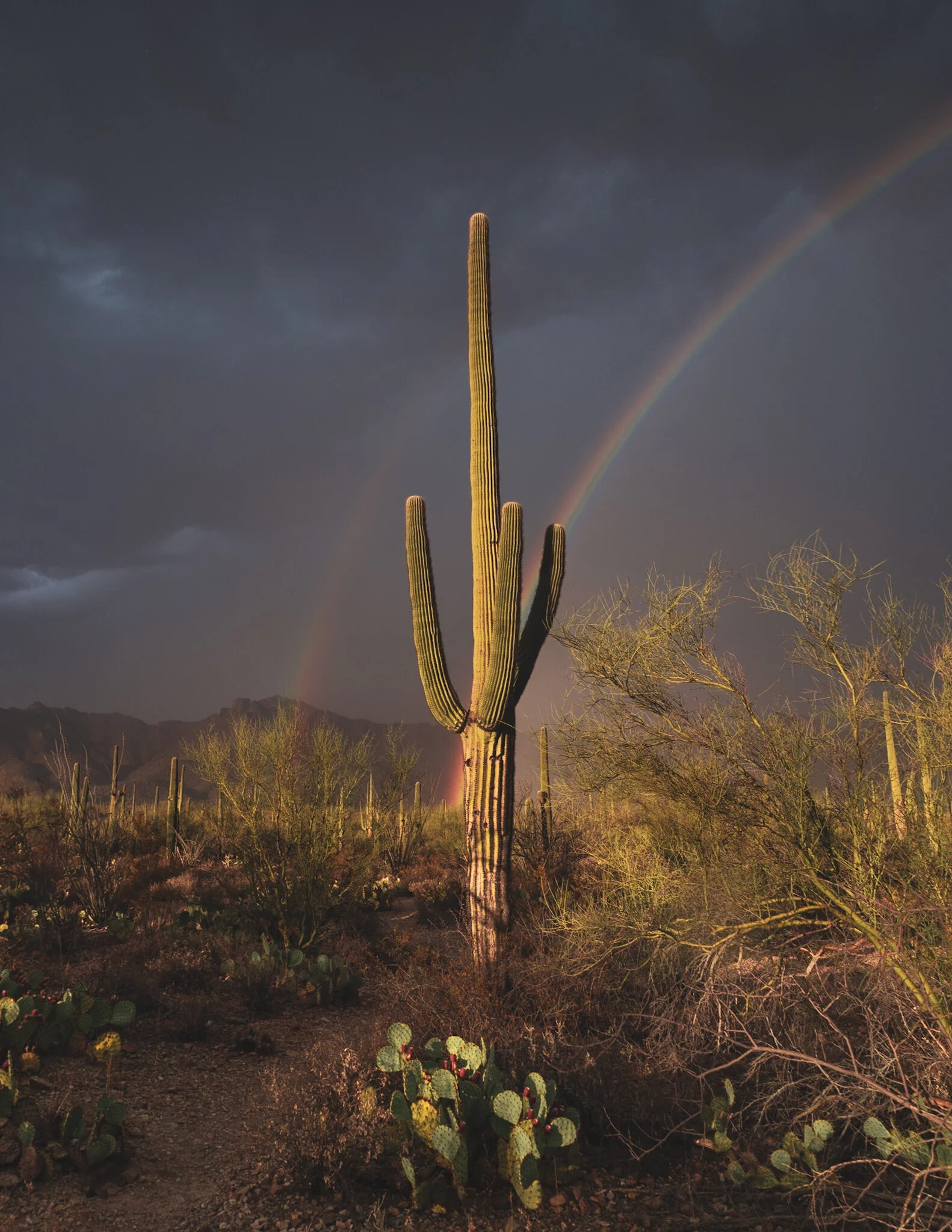 B860B0E4-4B60-40CB-87AB-76EAB5D8FA52