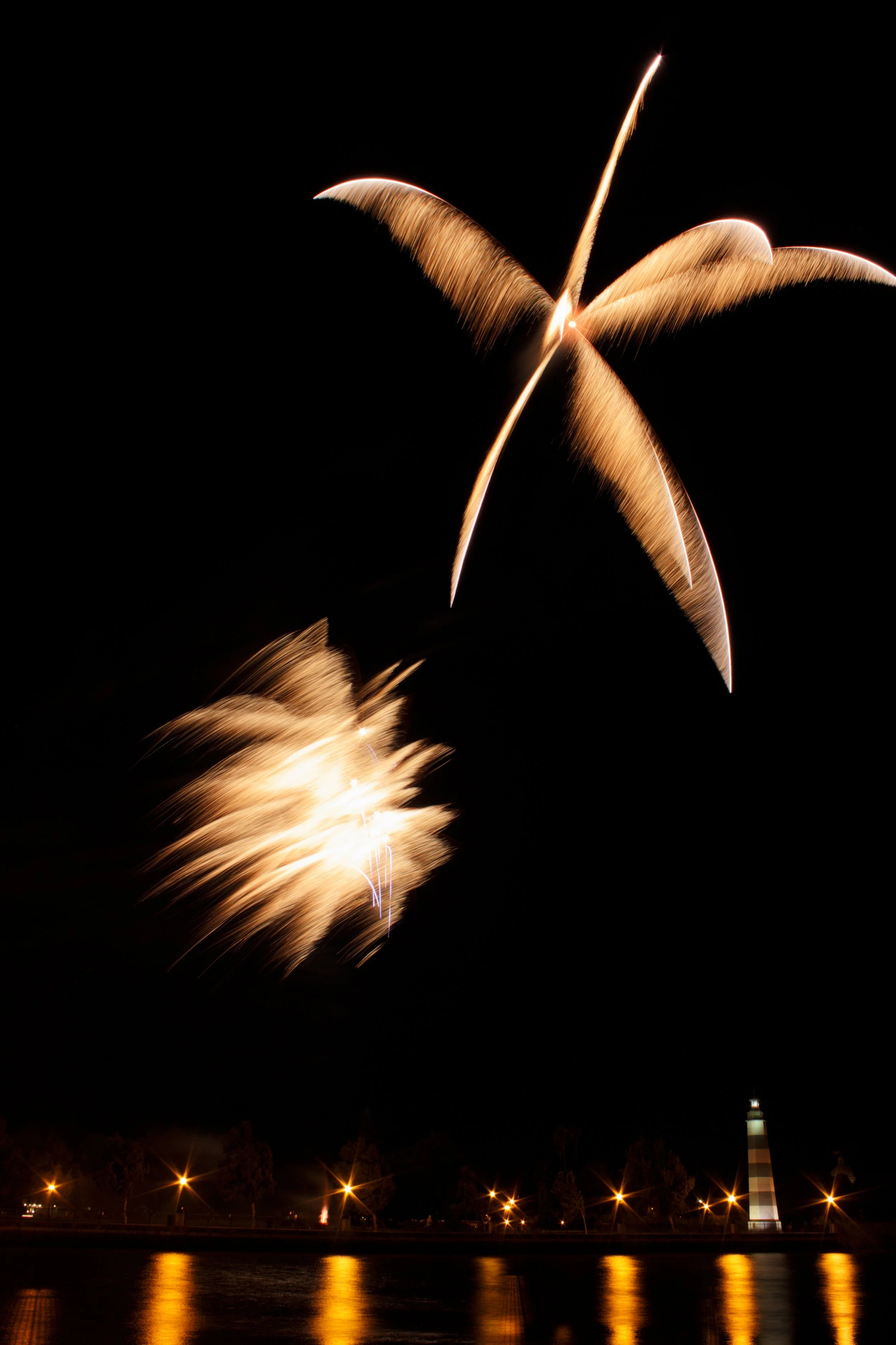 _MG_0344-01.jpeg