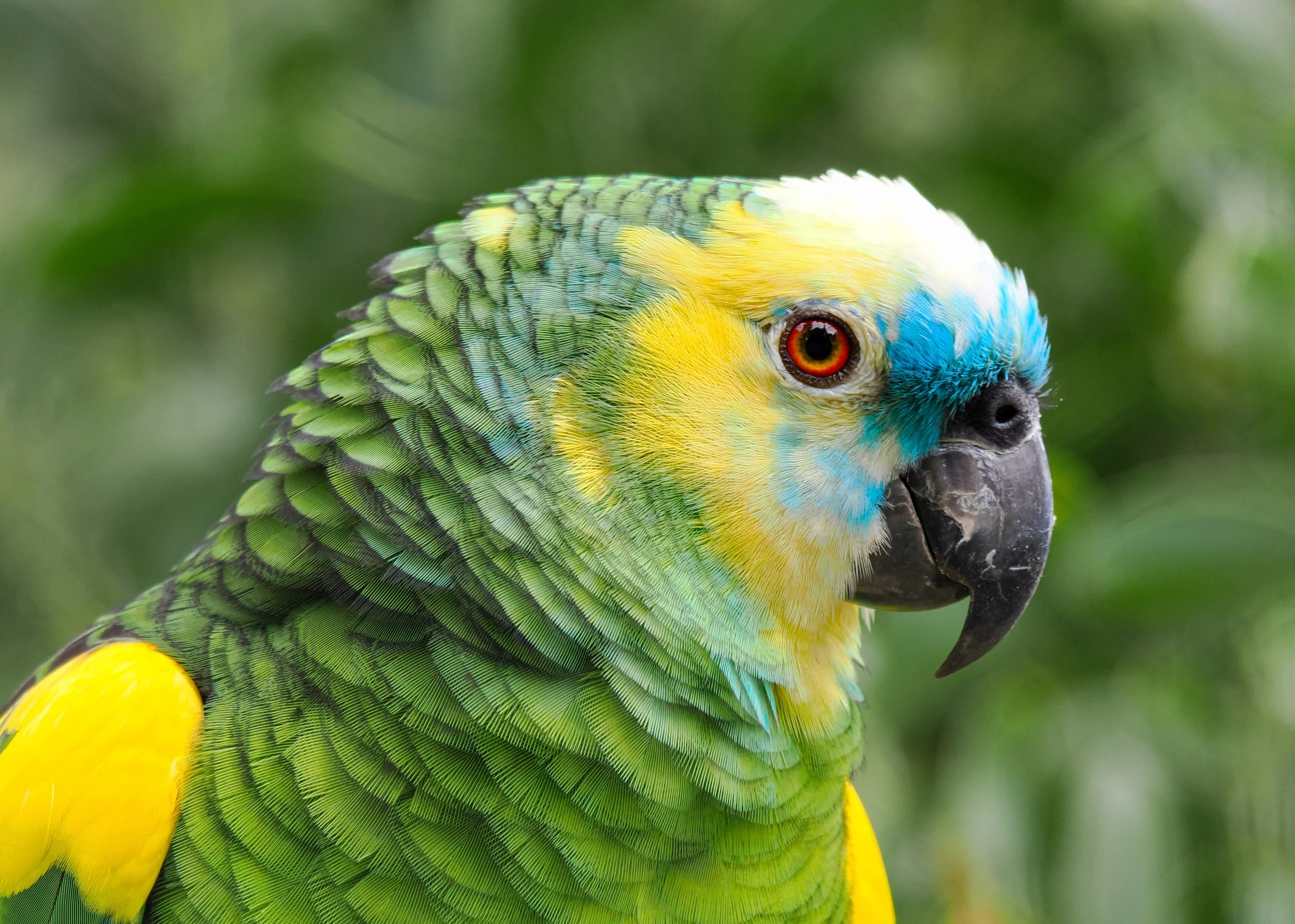 O_ZOO_006.JPG