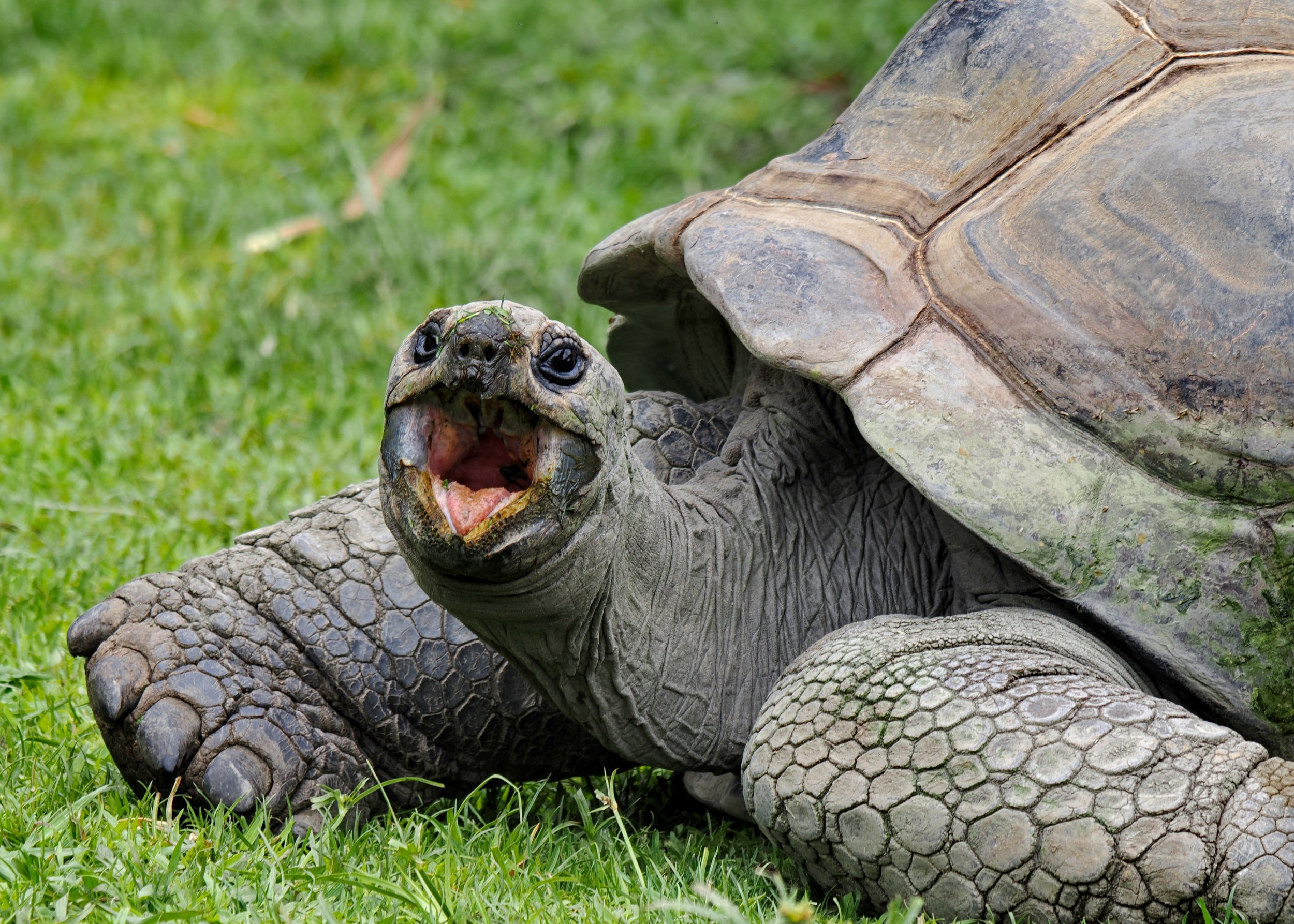 O_ZOO_012.JPG