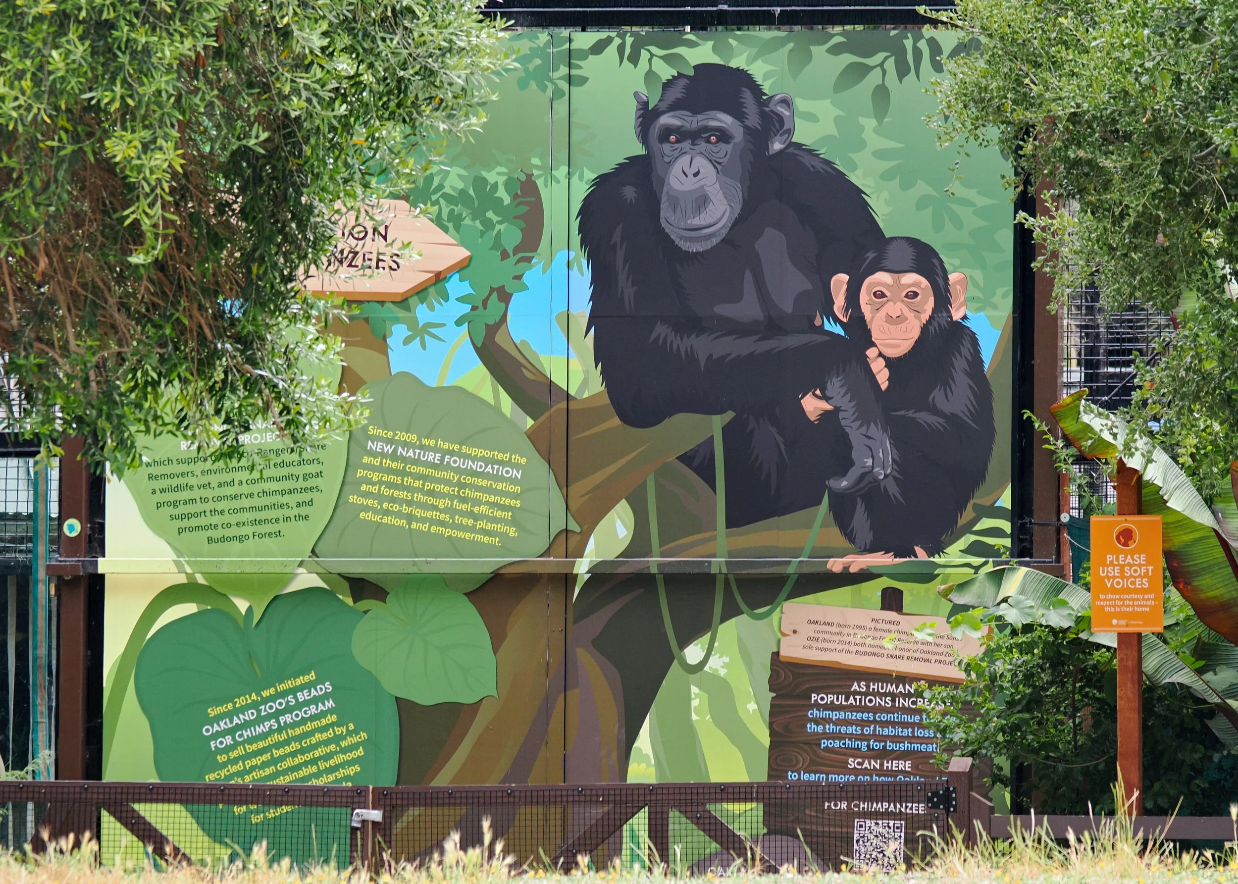 O_ZOO_014.JPG