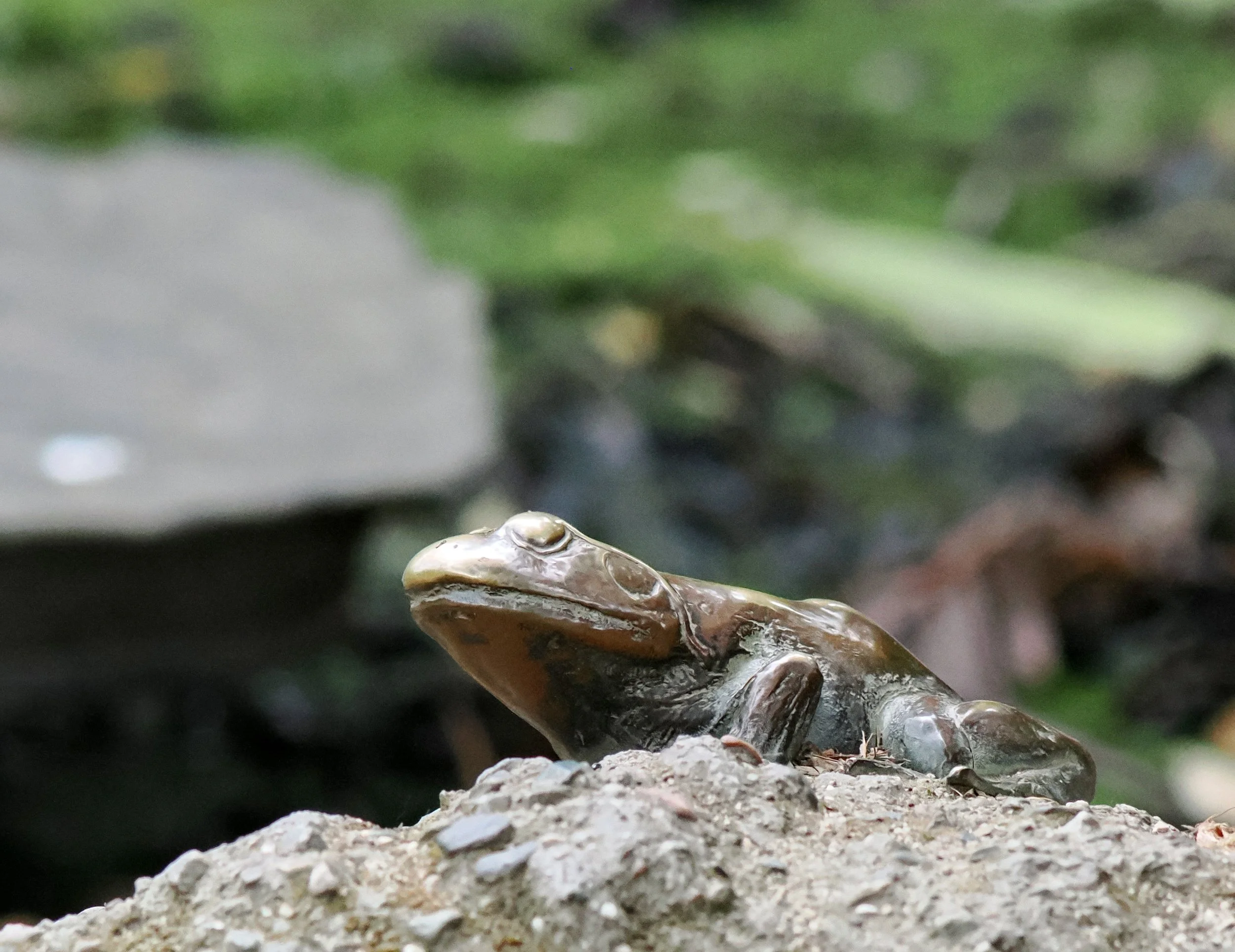 O_ZOO_025.JPG