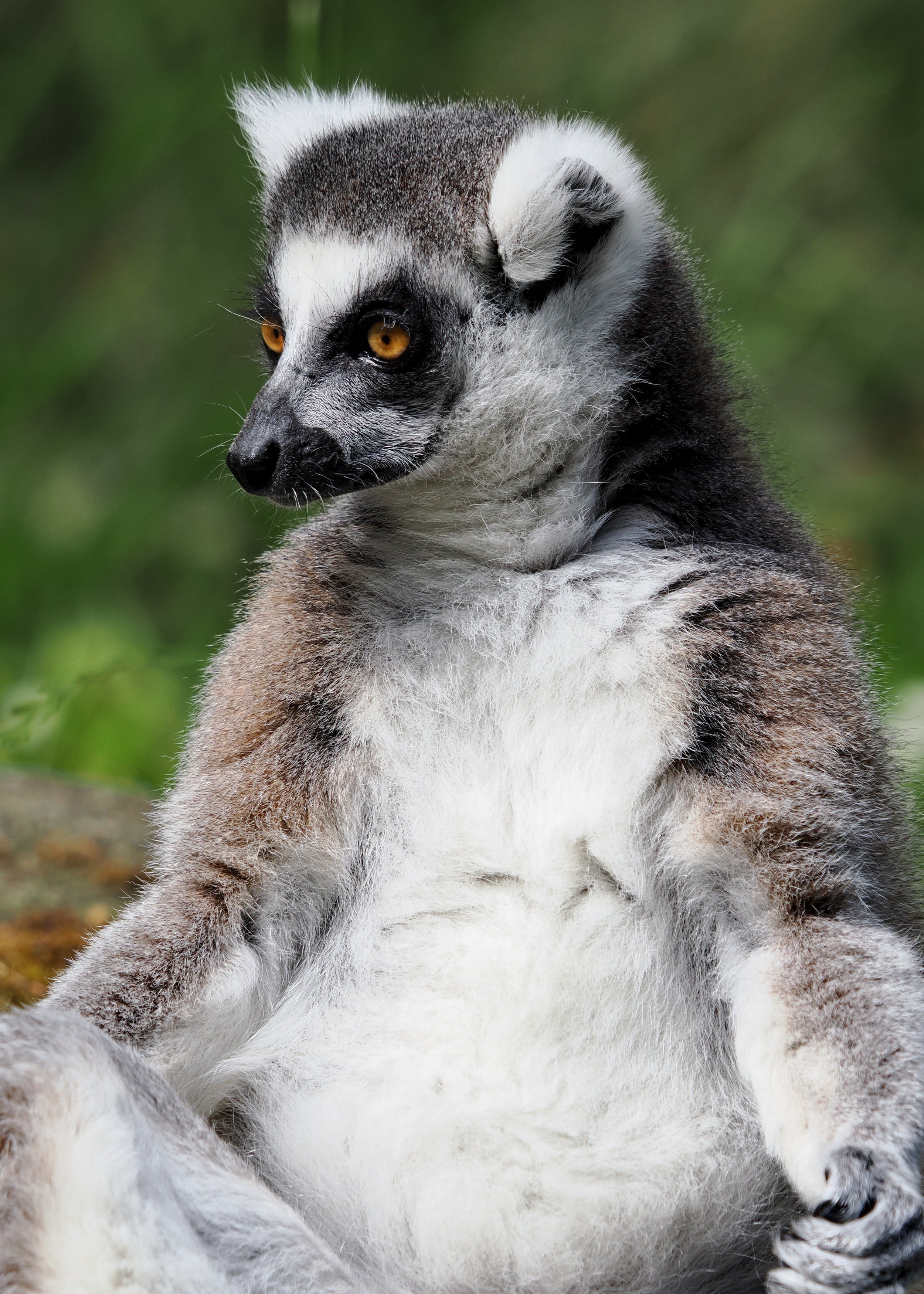 O_ZOO_030.JPG