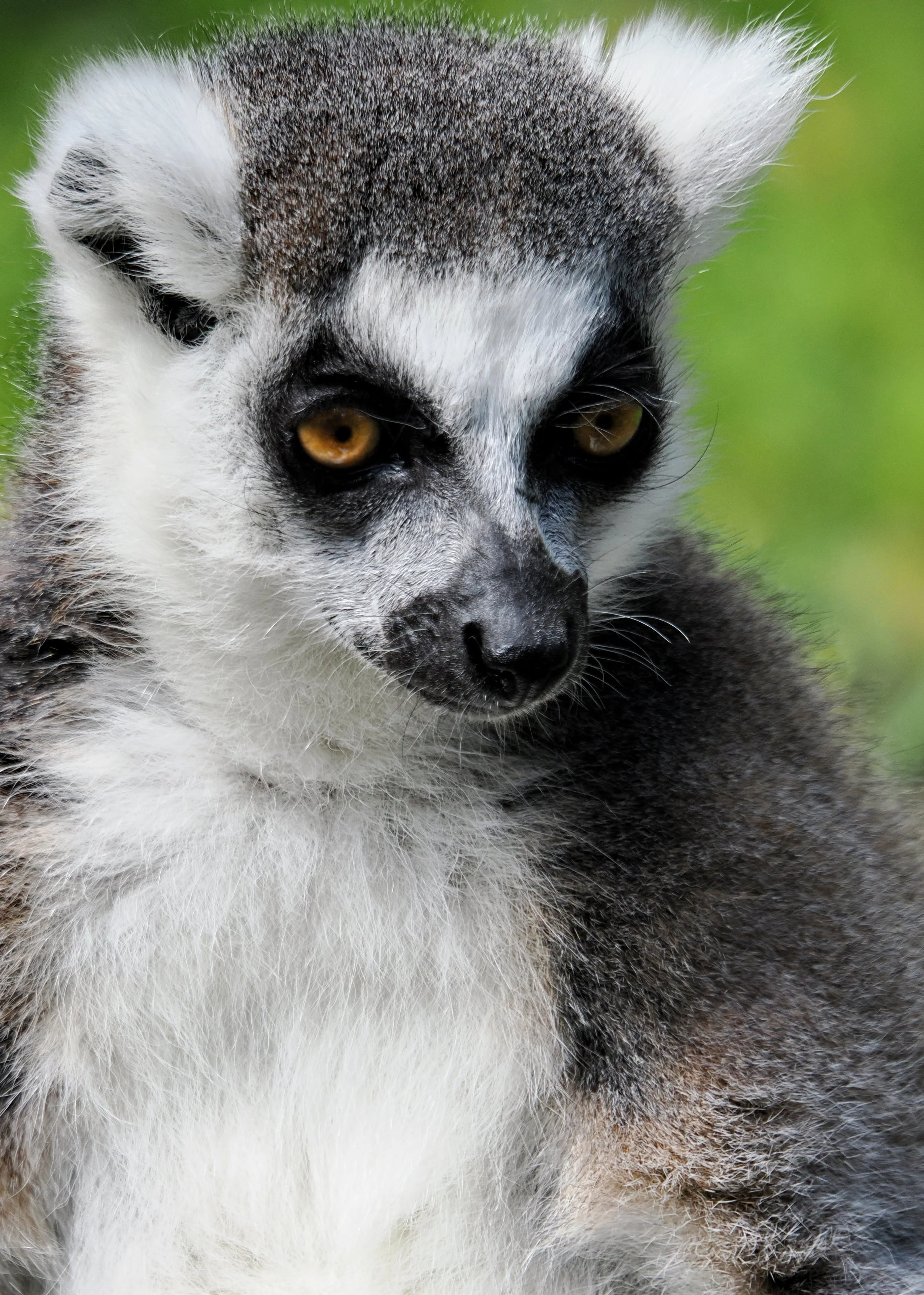 O_ZOO_032.JPG