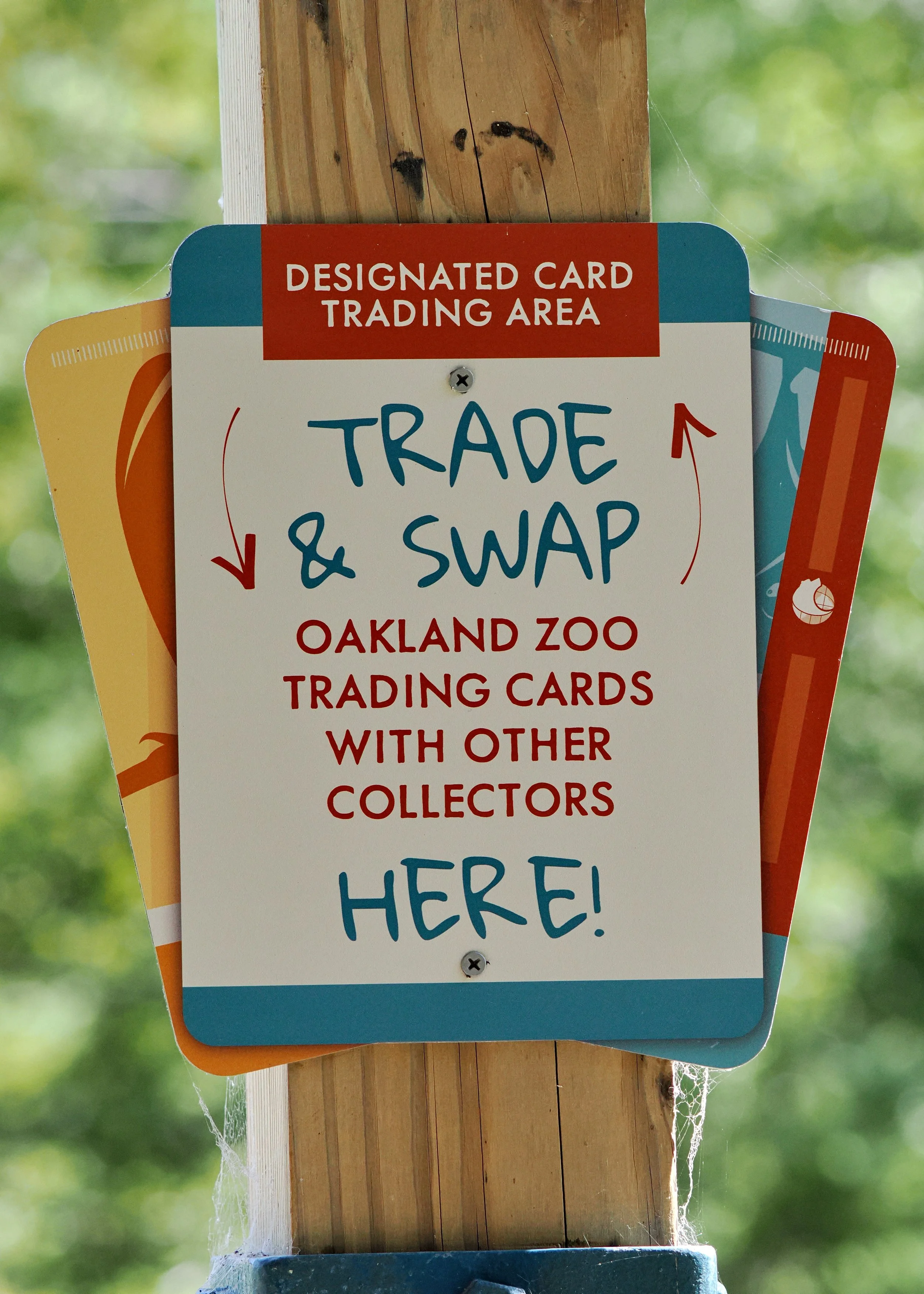 O_ZOO_034.JPG