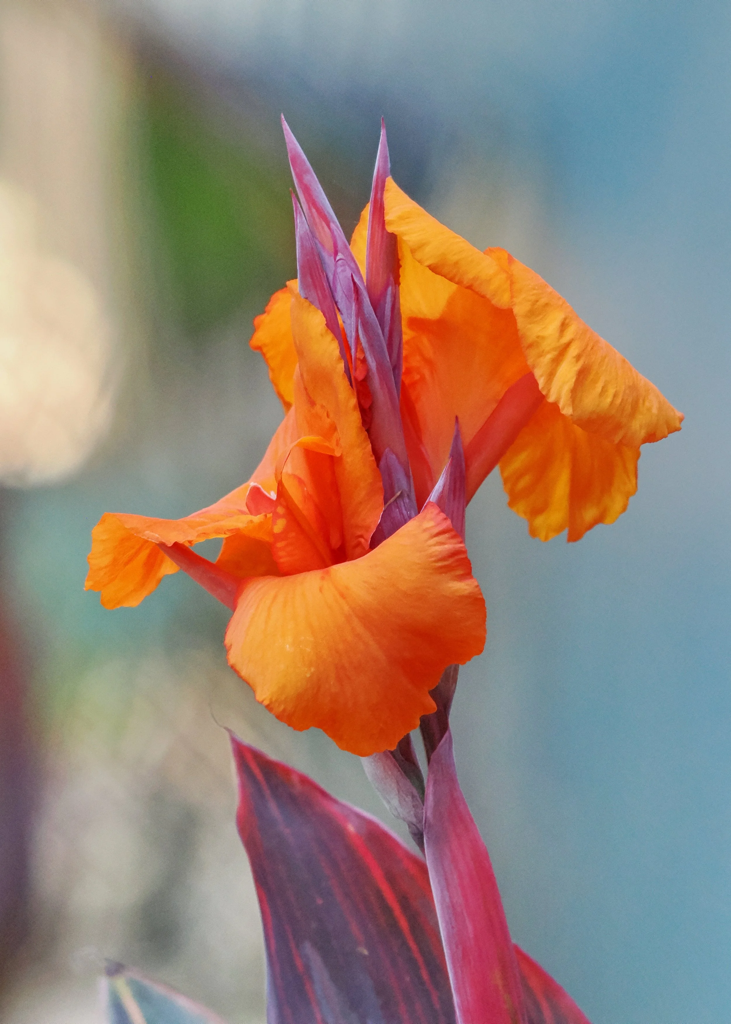 O_ZOO_037.JPG