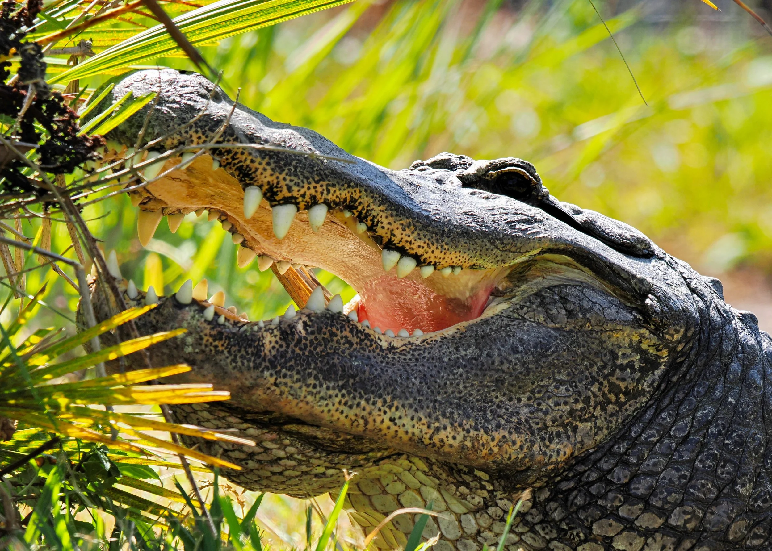 O_ZOO_038.JPG