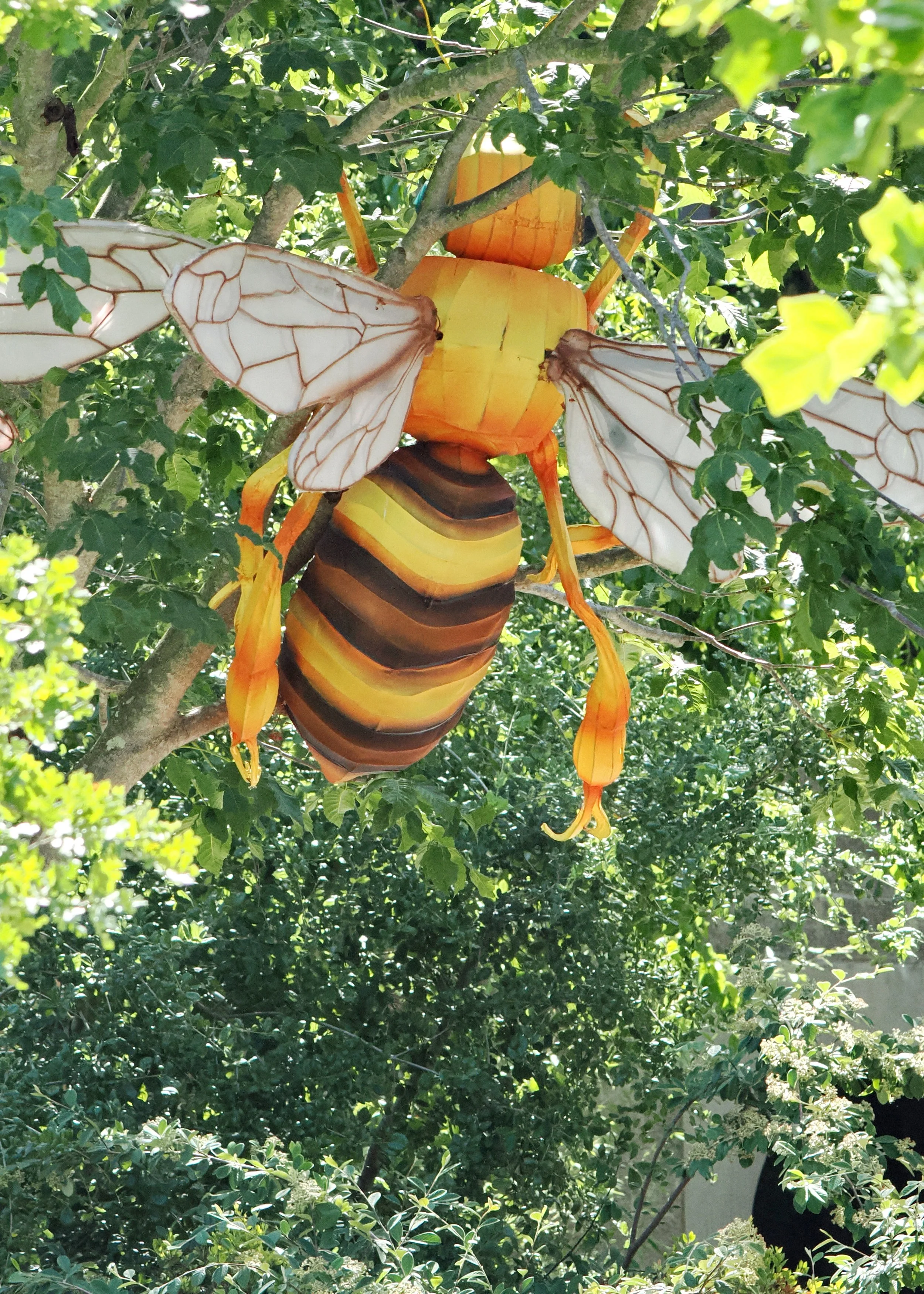 O_ZOO_039.JPG
