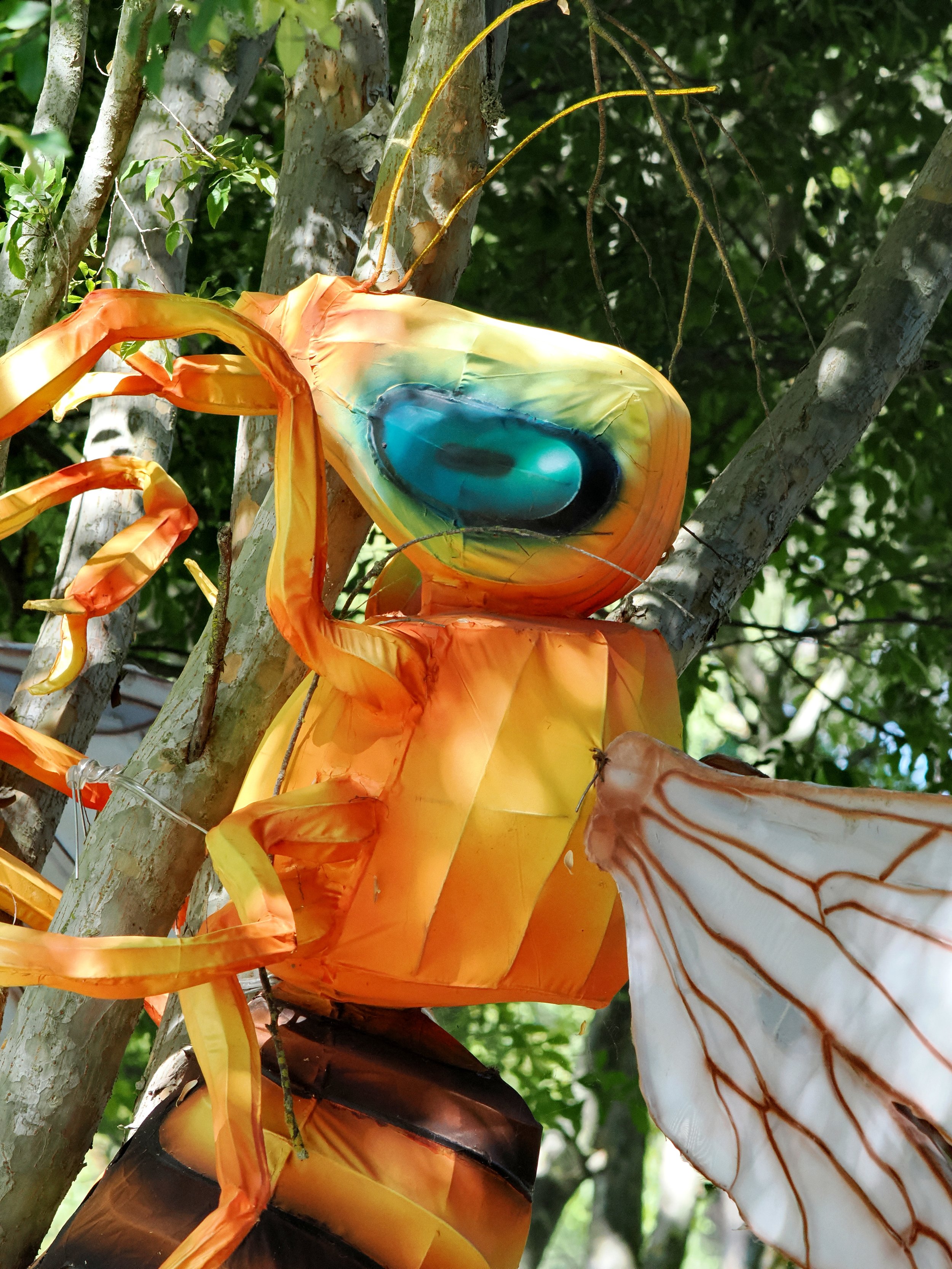 O_ZOO_041.JPG