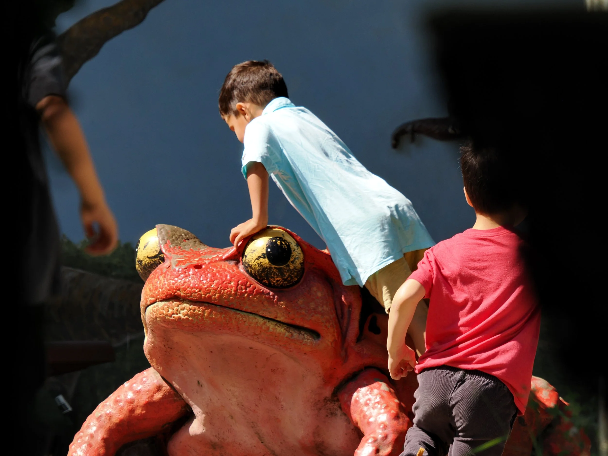 O_ZOO_044.JPG