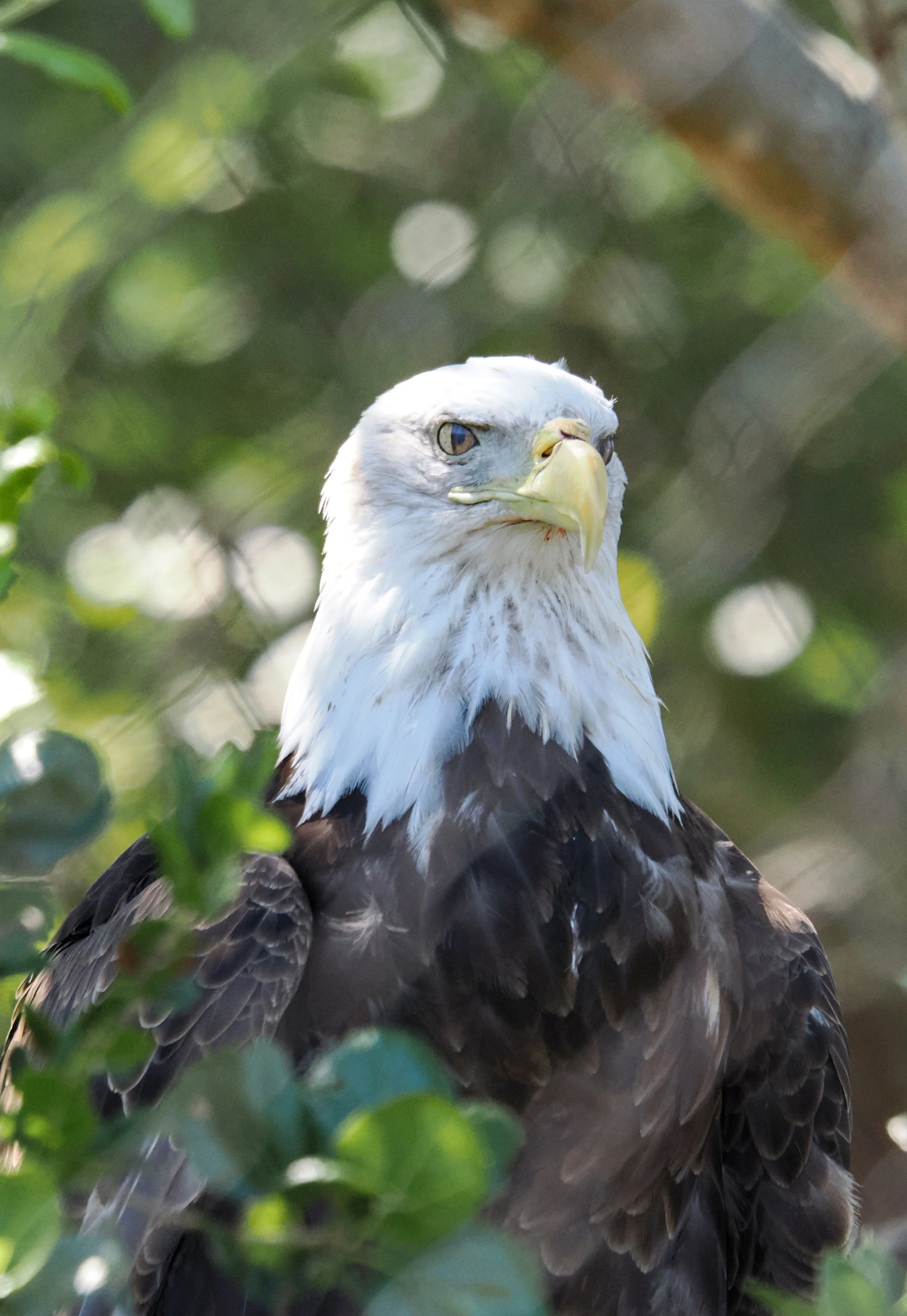 O_ZOO_050.JPG
