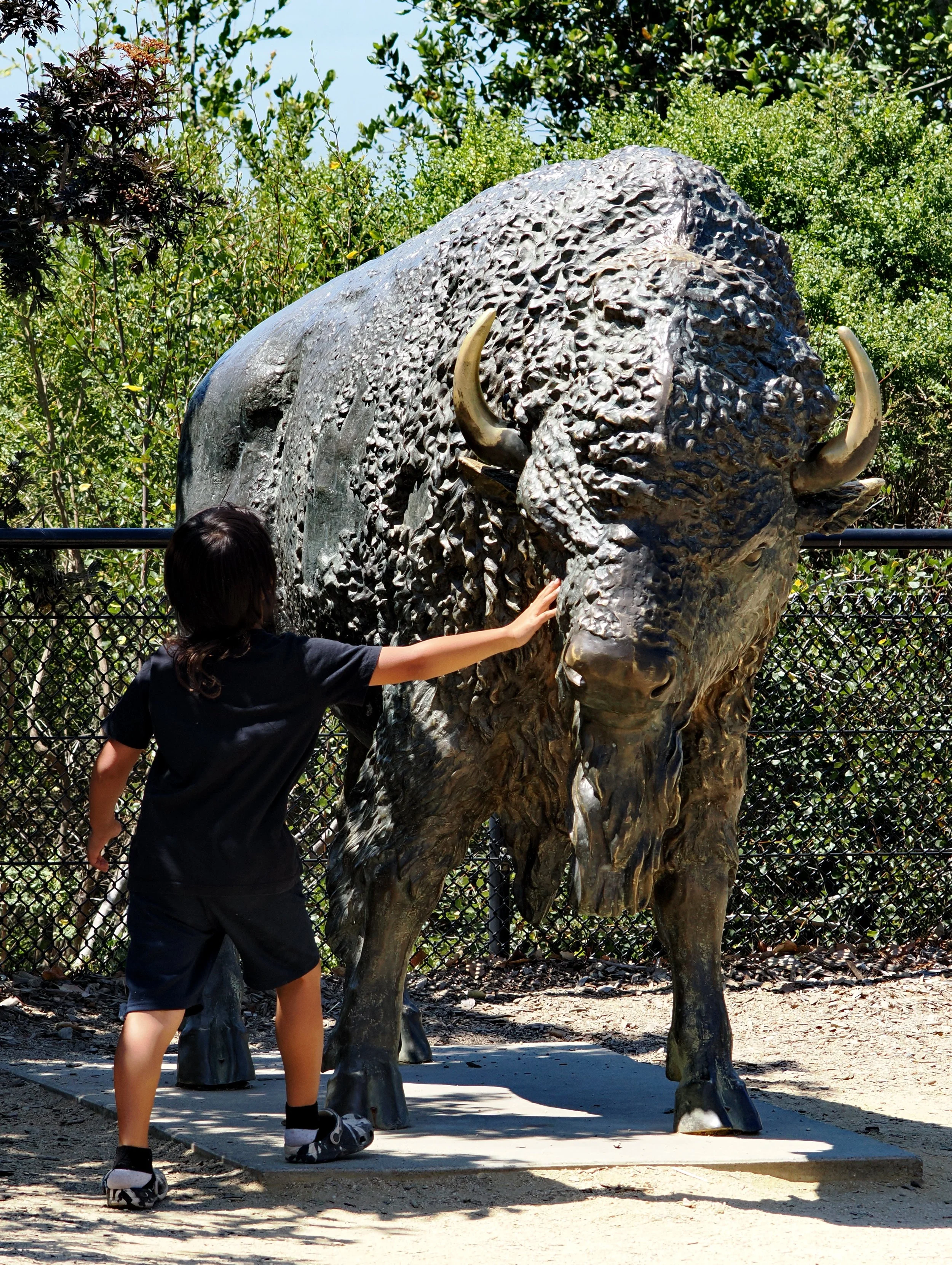 O_ZOO_058.JPG