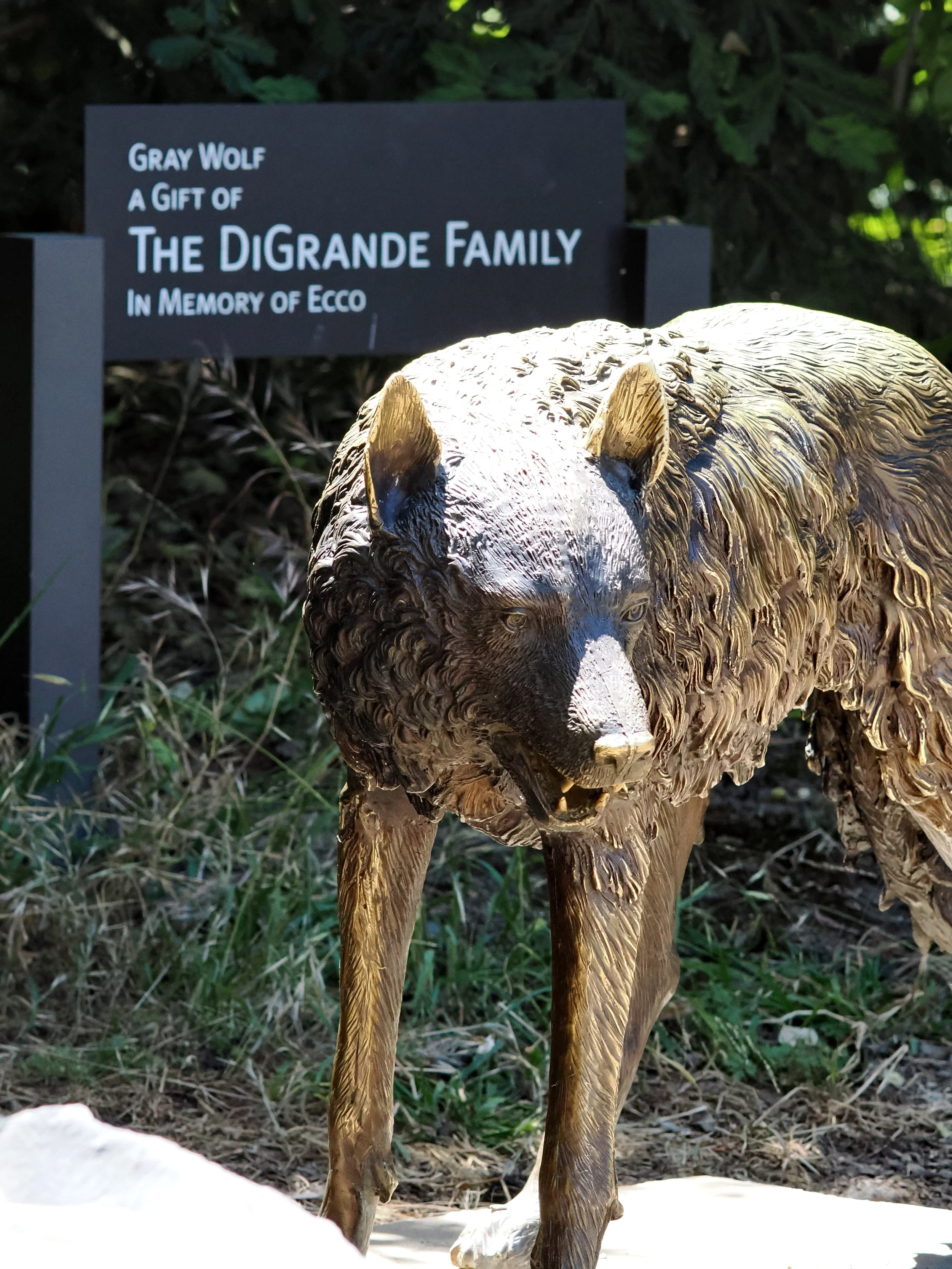 O_ZOO_060.JPG
