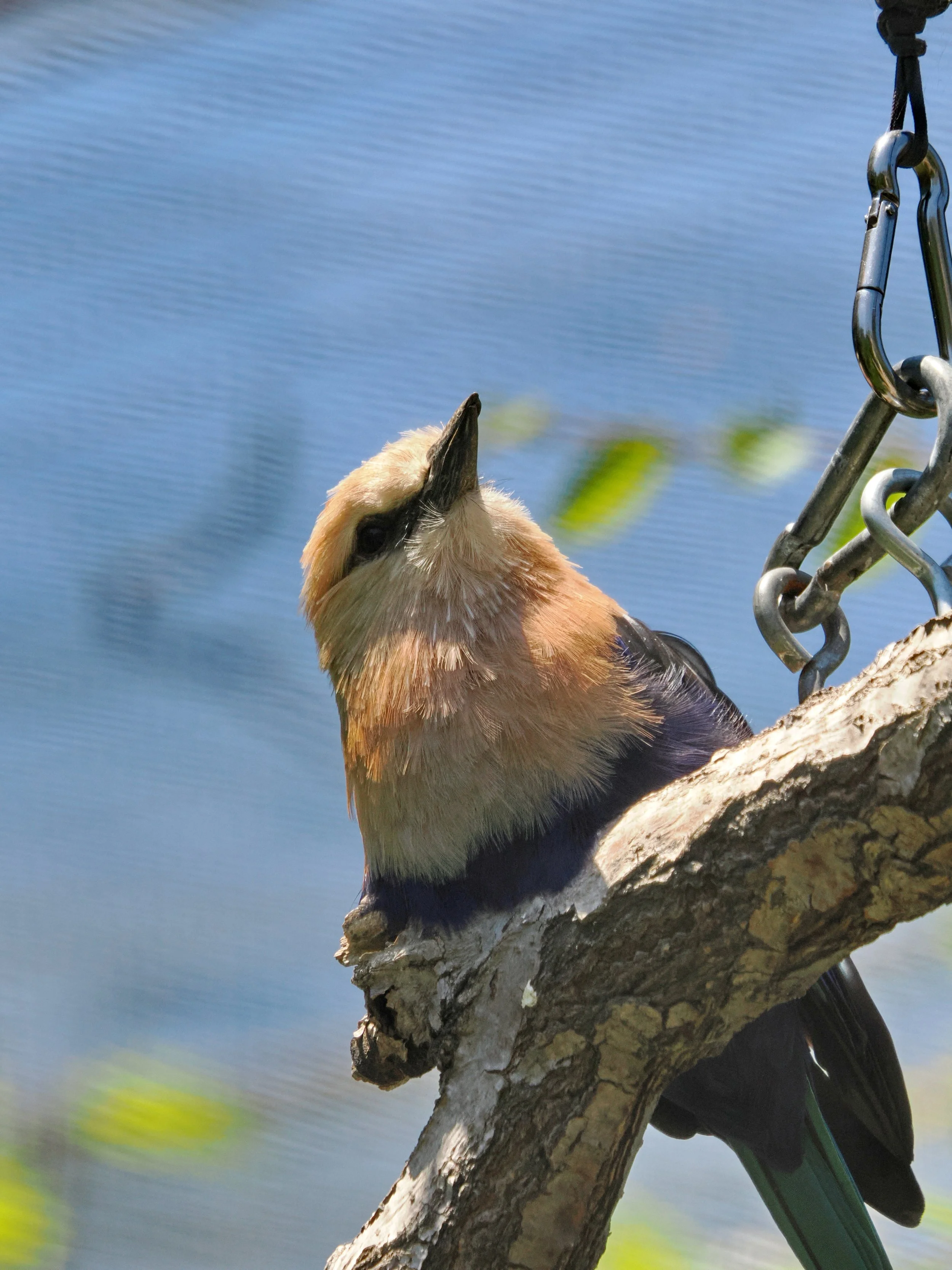 O_ZOO_063.JPG