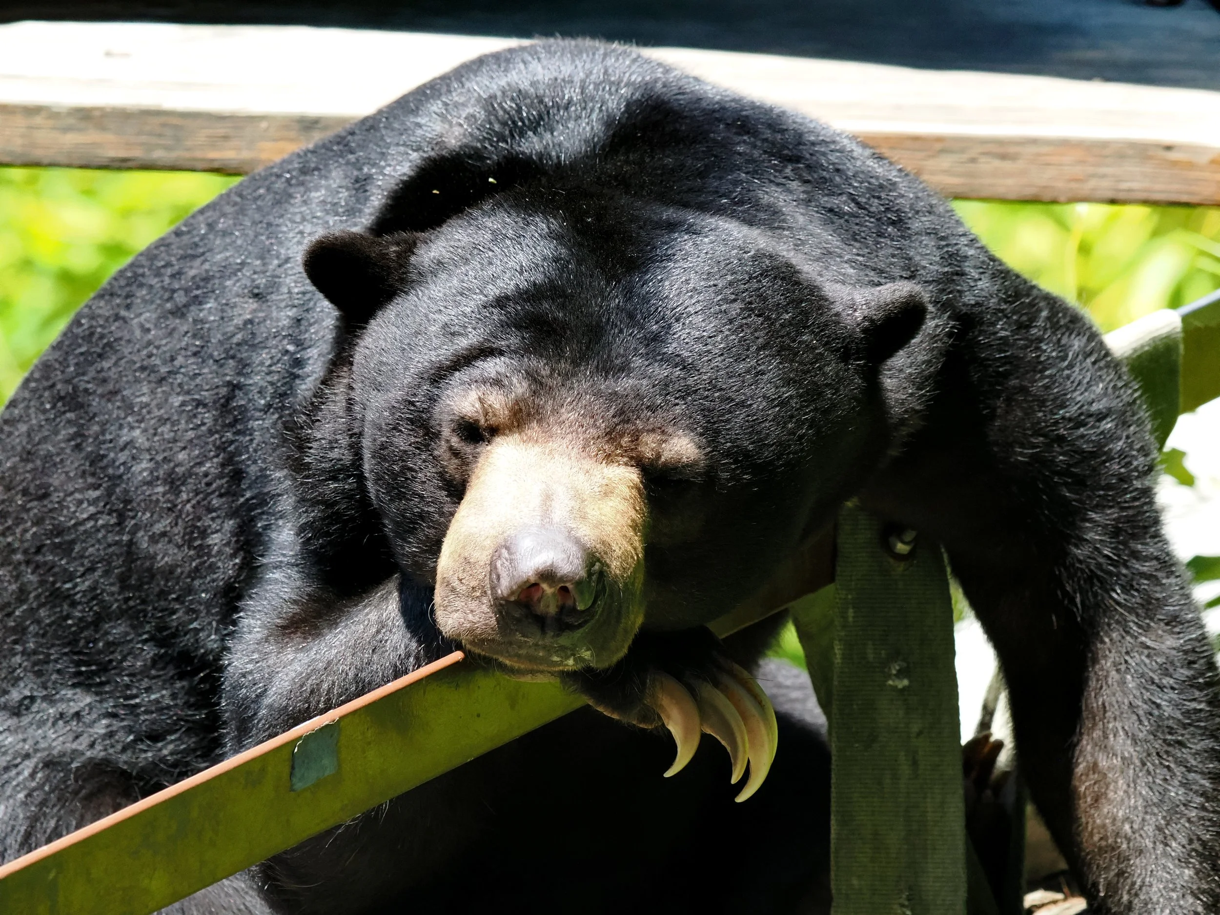 O_ZOO_065.JPG