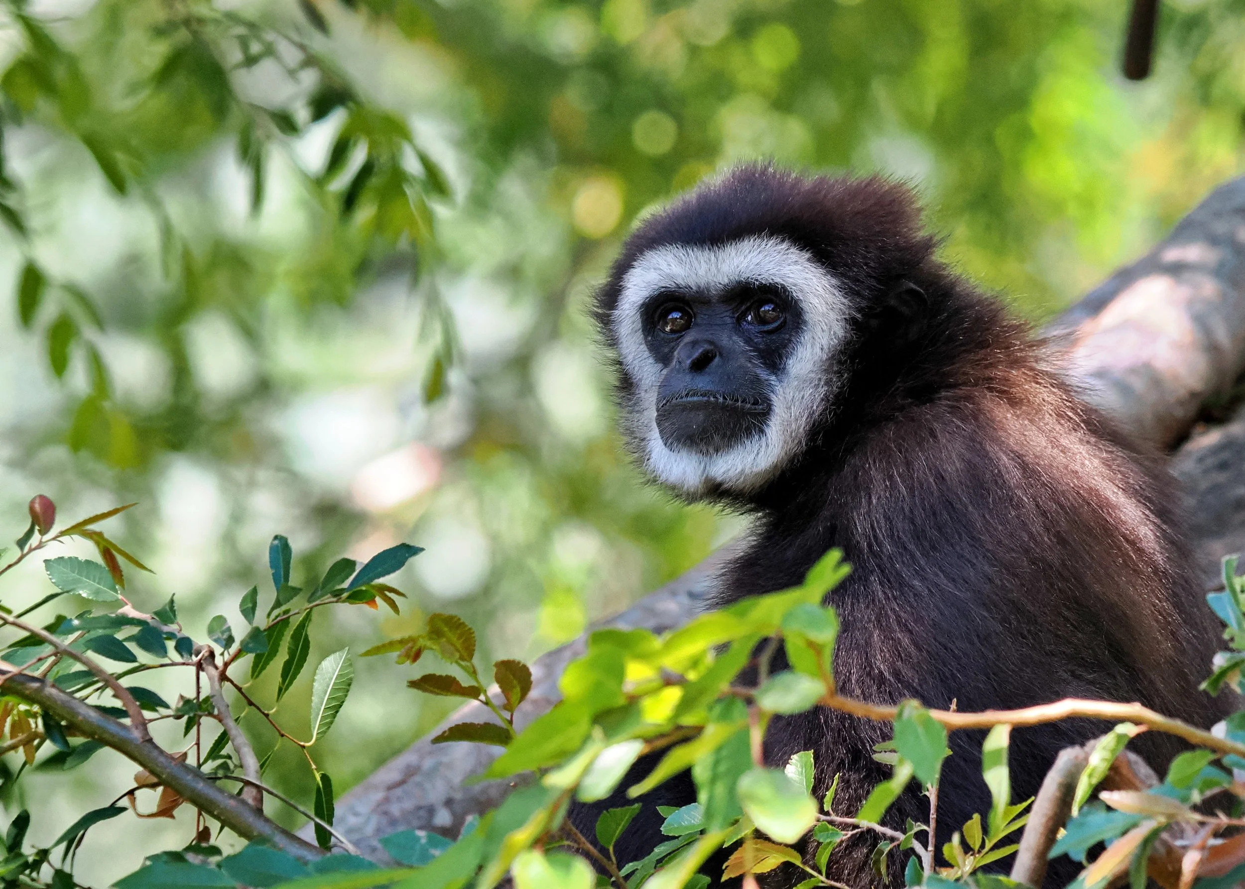 O_ZOO_068.JPG