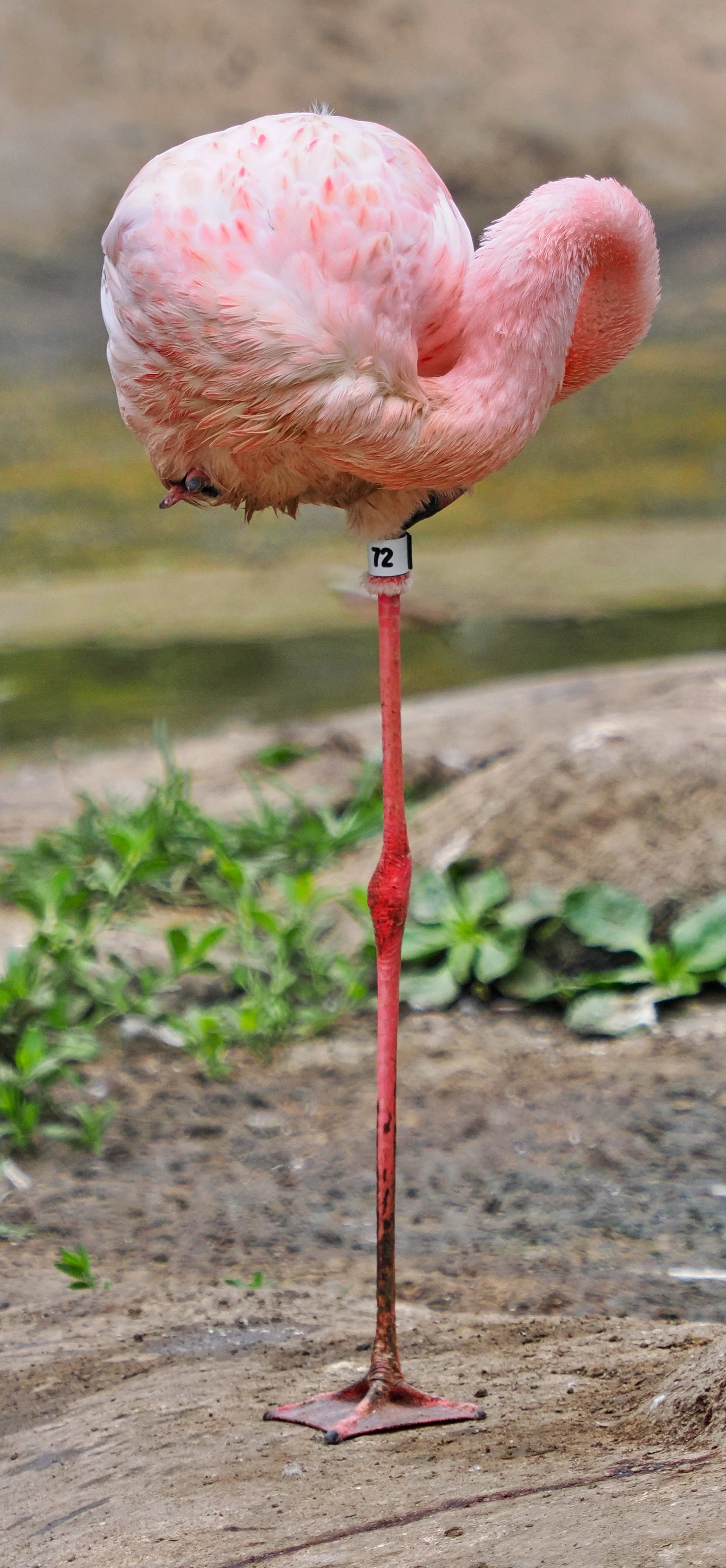 0_ZOO_070.JPG