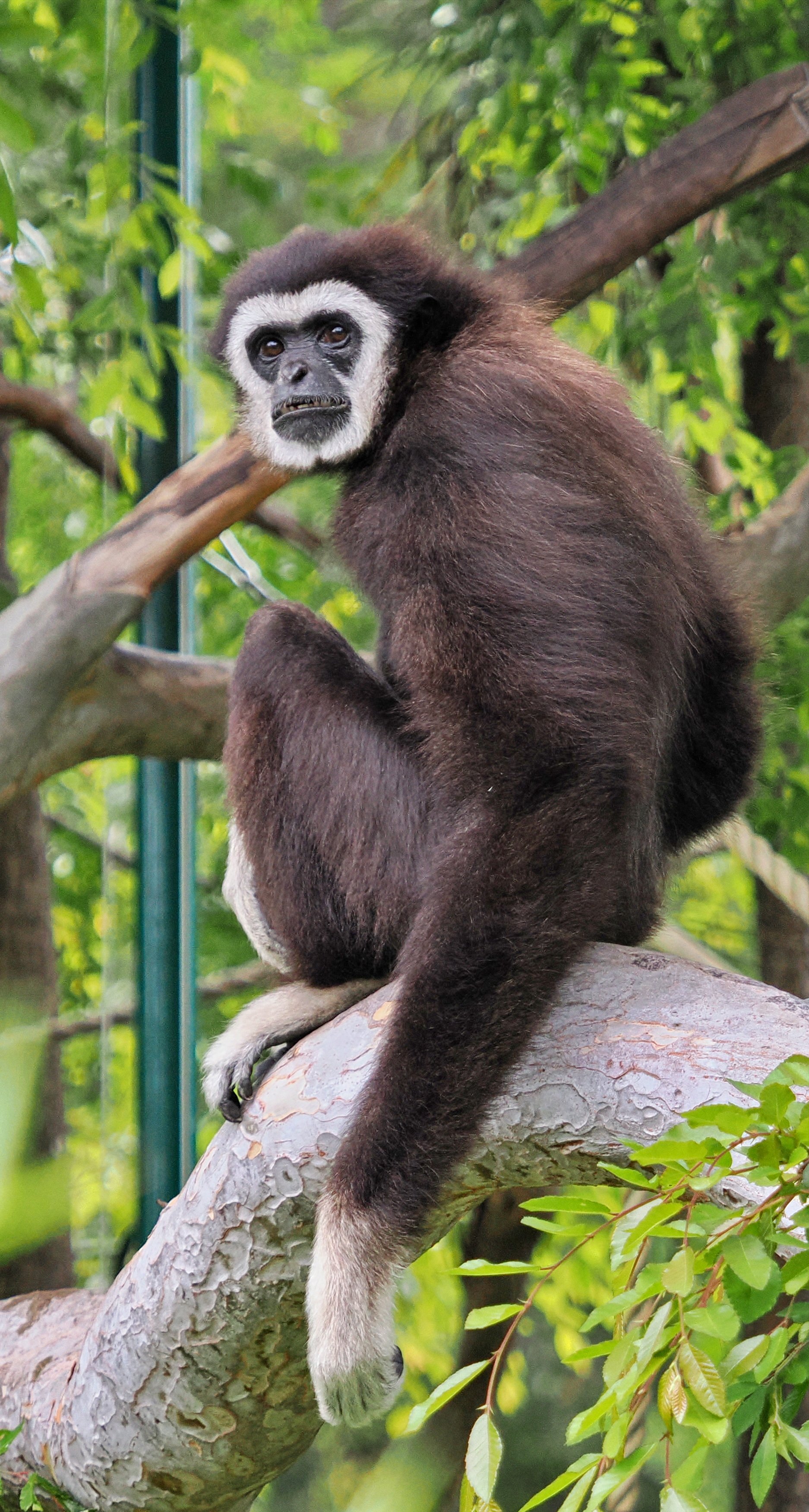 0_ZOO_072.JPG