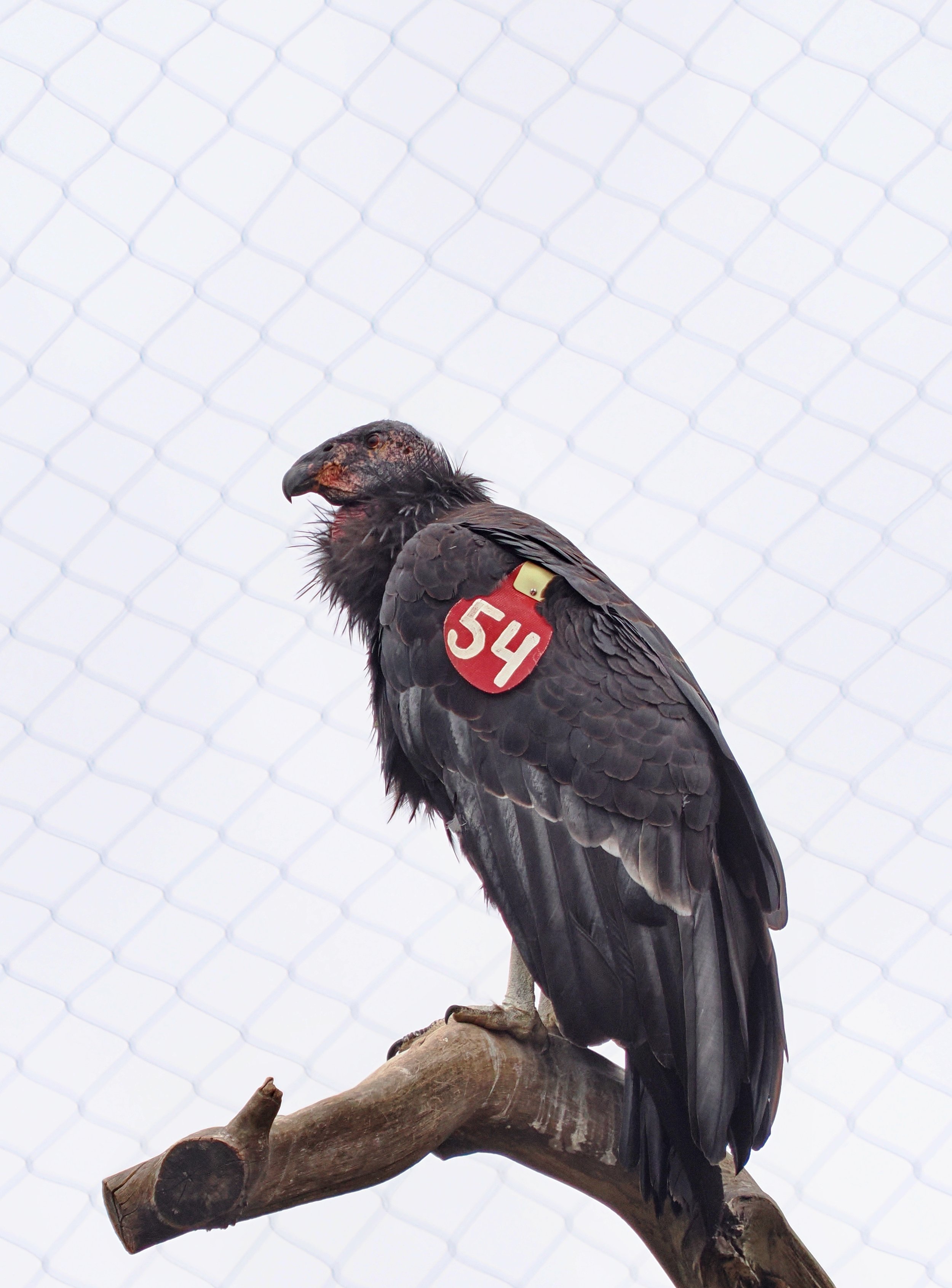 0_ZOO_074.JPG
