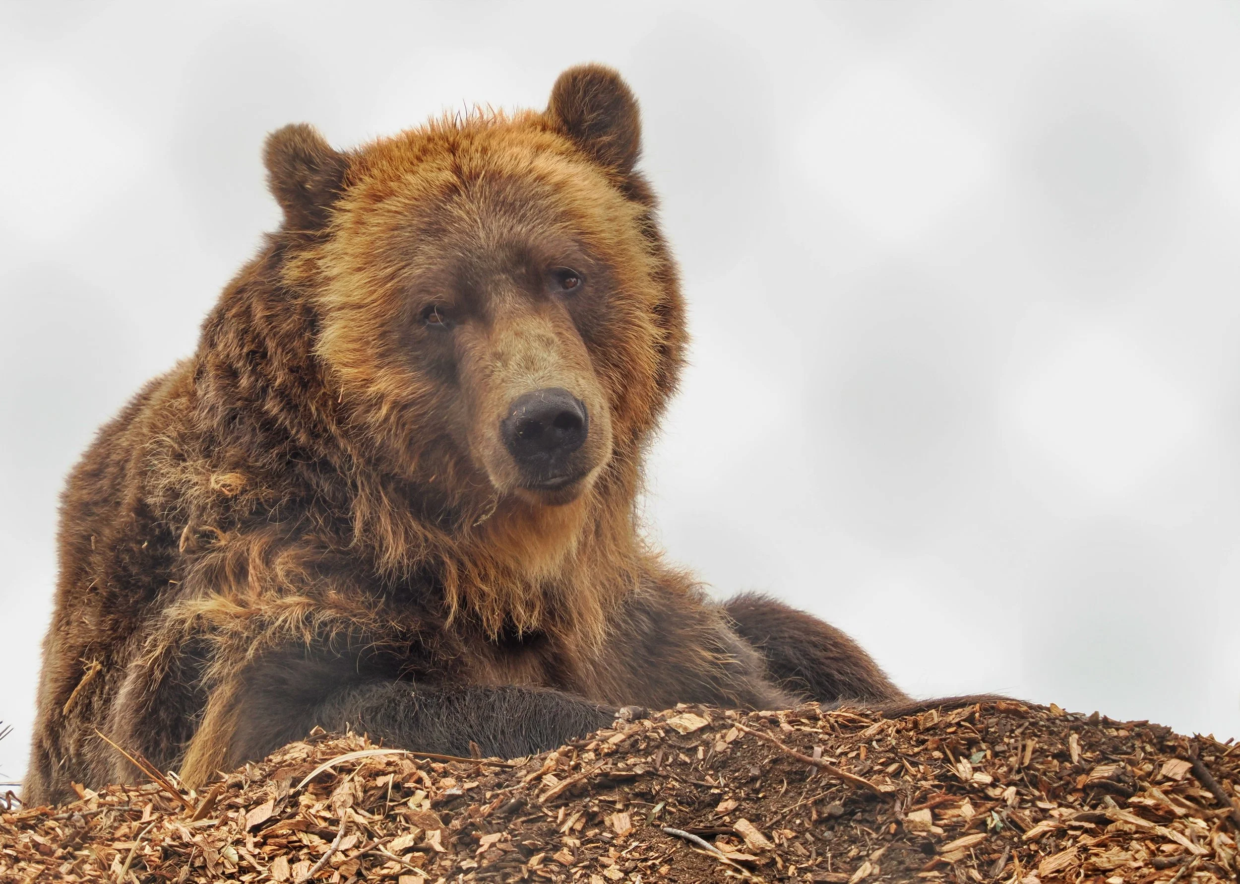 0_ZOO_075.JPG