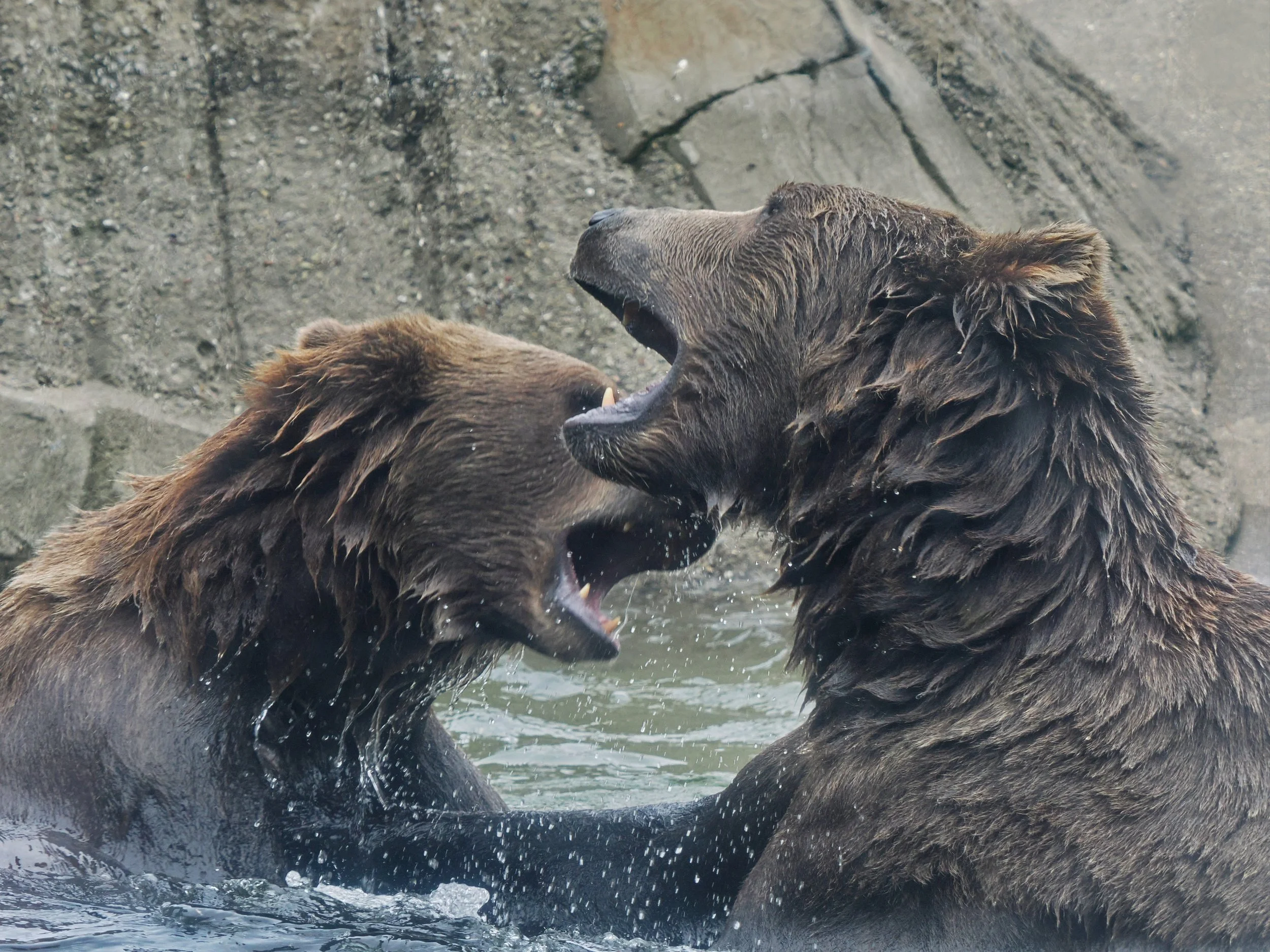 0_ZOO_076.JPG