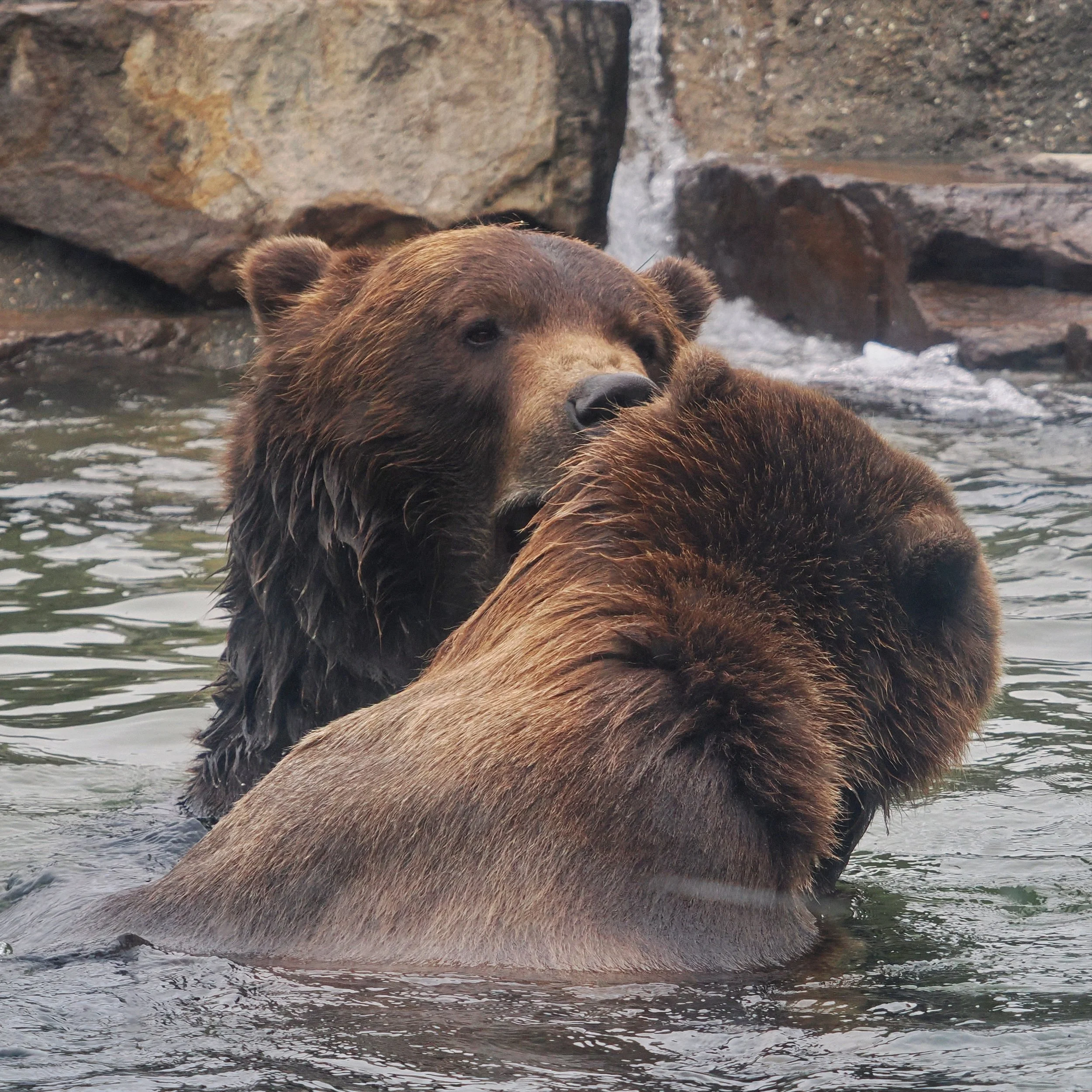 0_ZOO_077.JPG