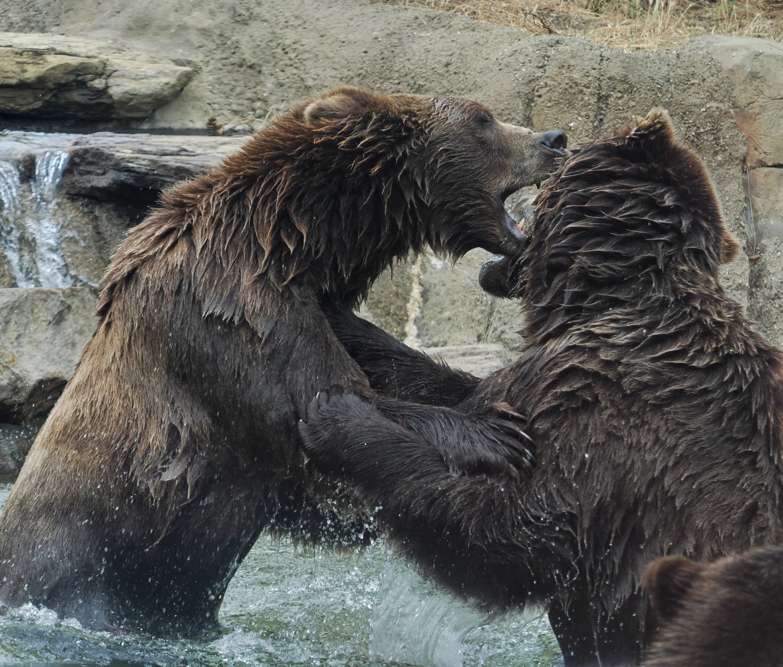 0_ZOO_078.JPG