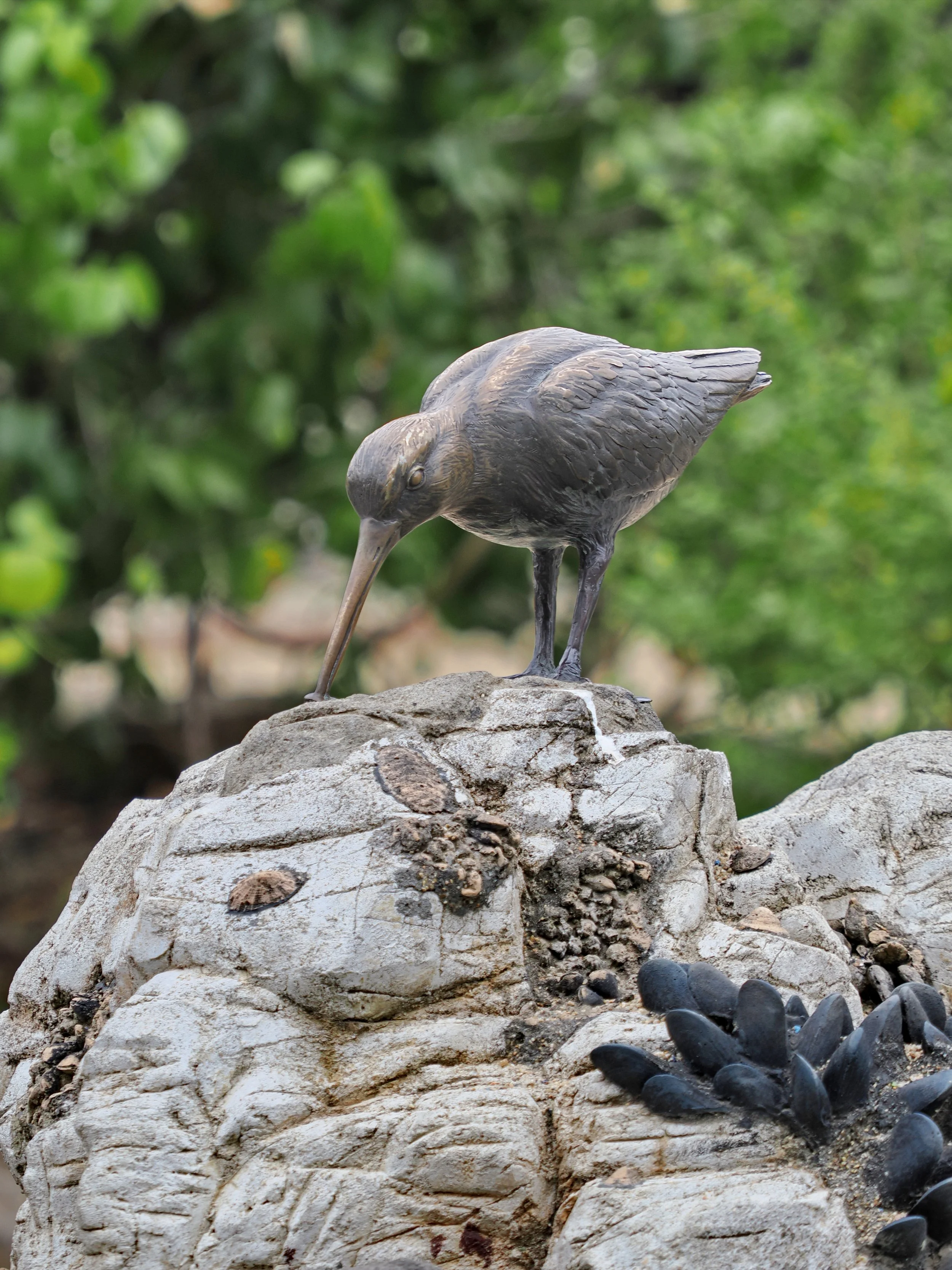 0_ZOO_081.JPG