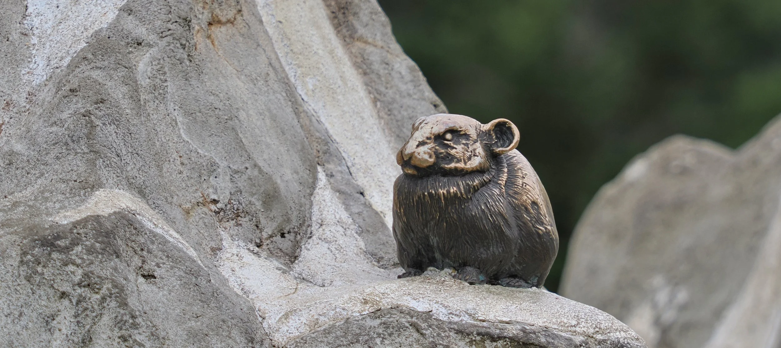 0_ZOO_082.JPG