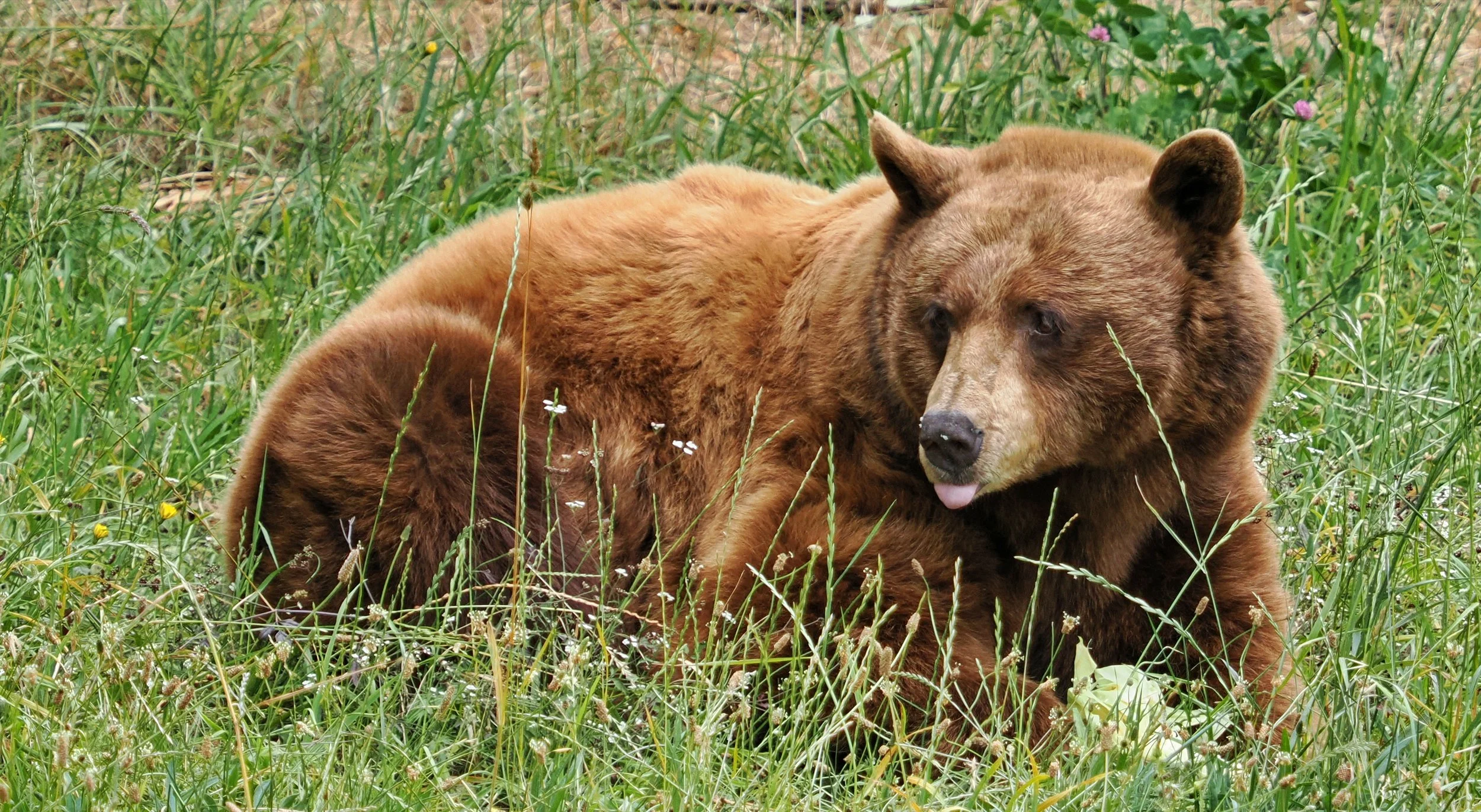 0_ZOO_083.JPG