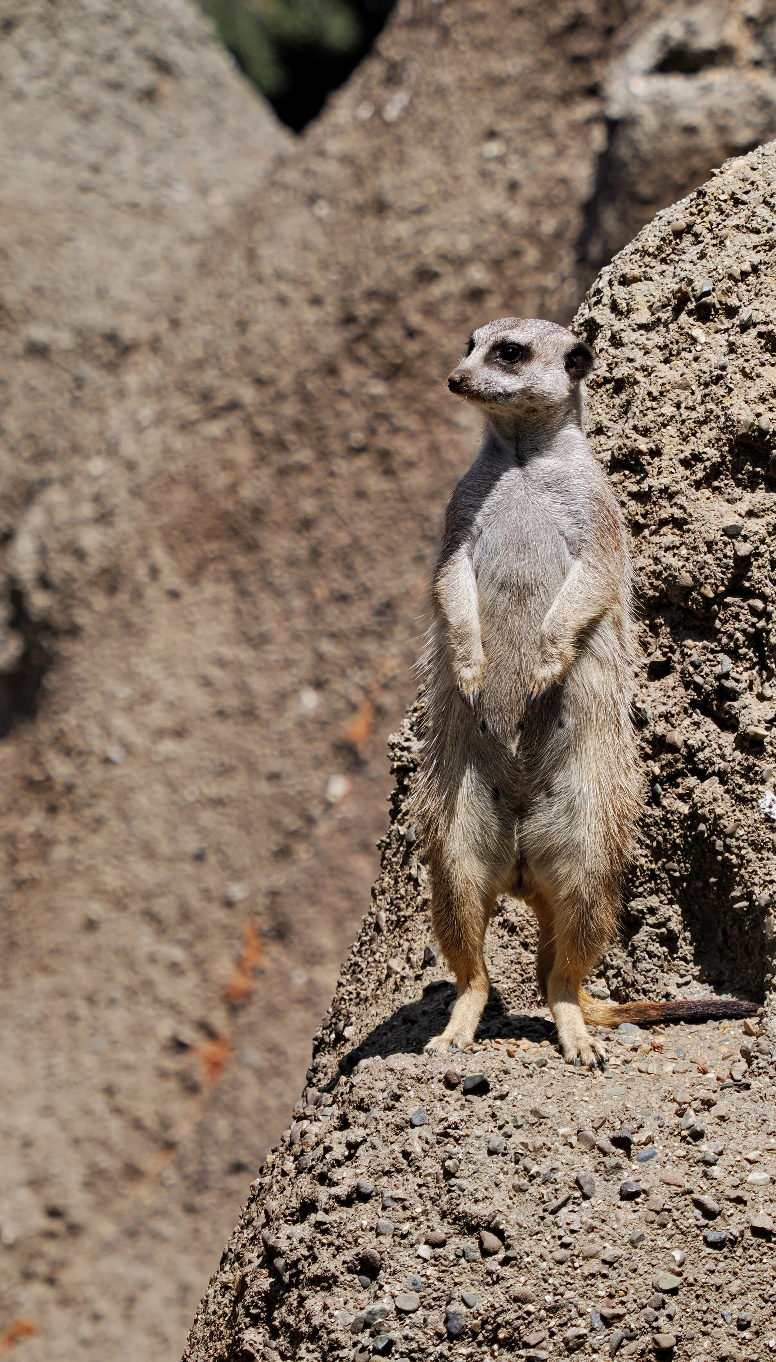 0_ZOO_084.JPG
