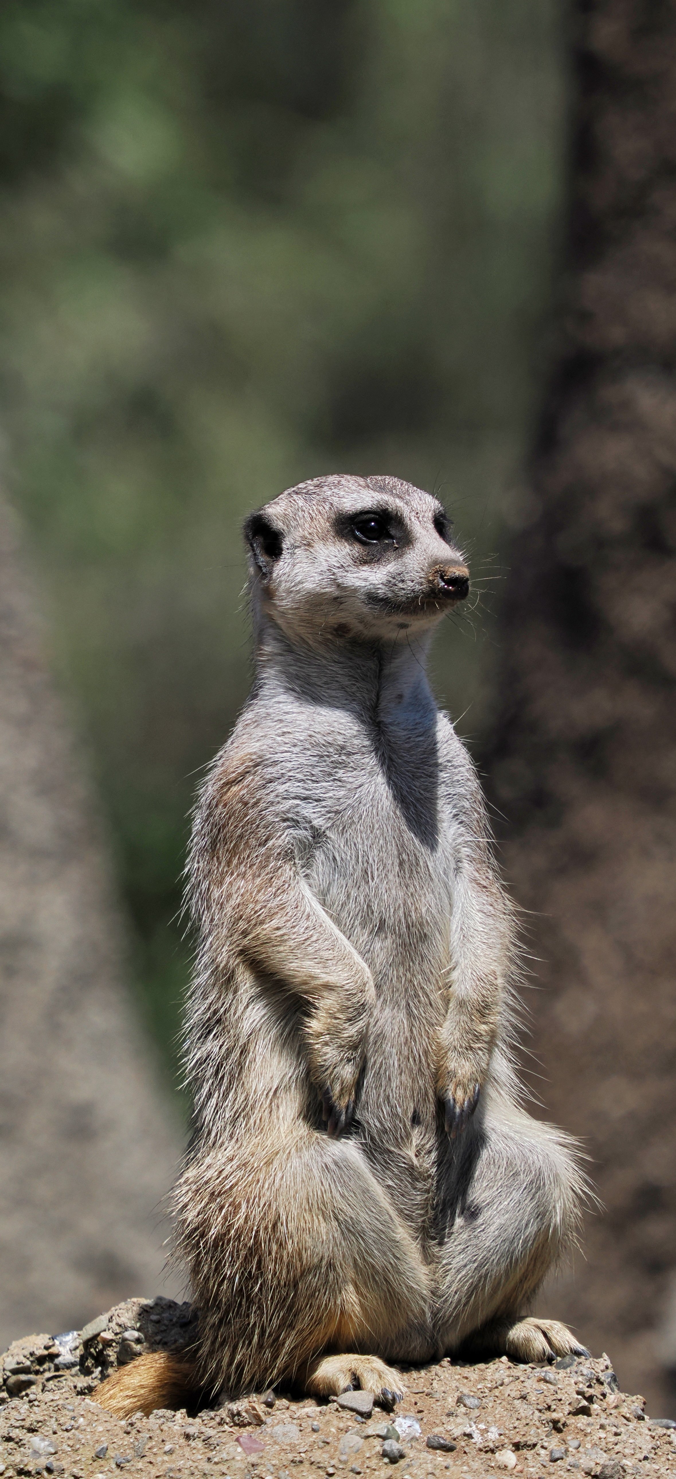 0_ZOO_085.JPG