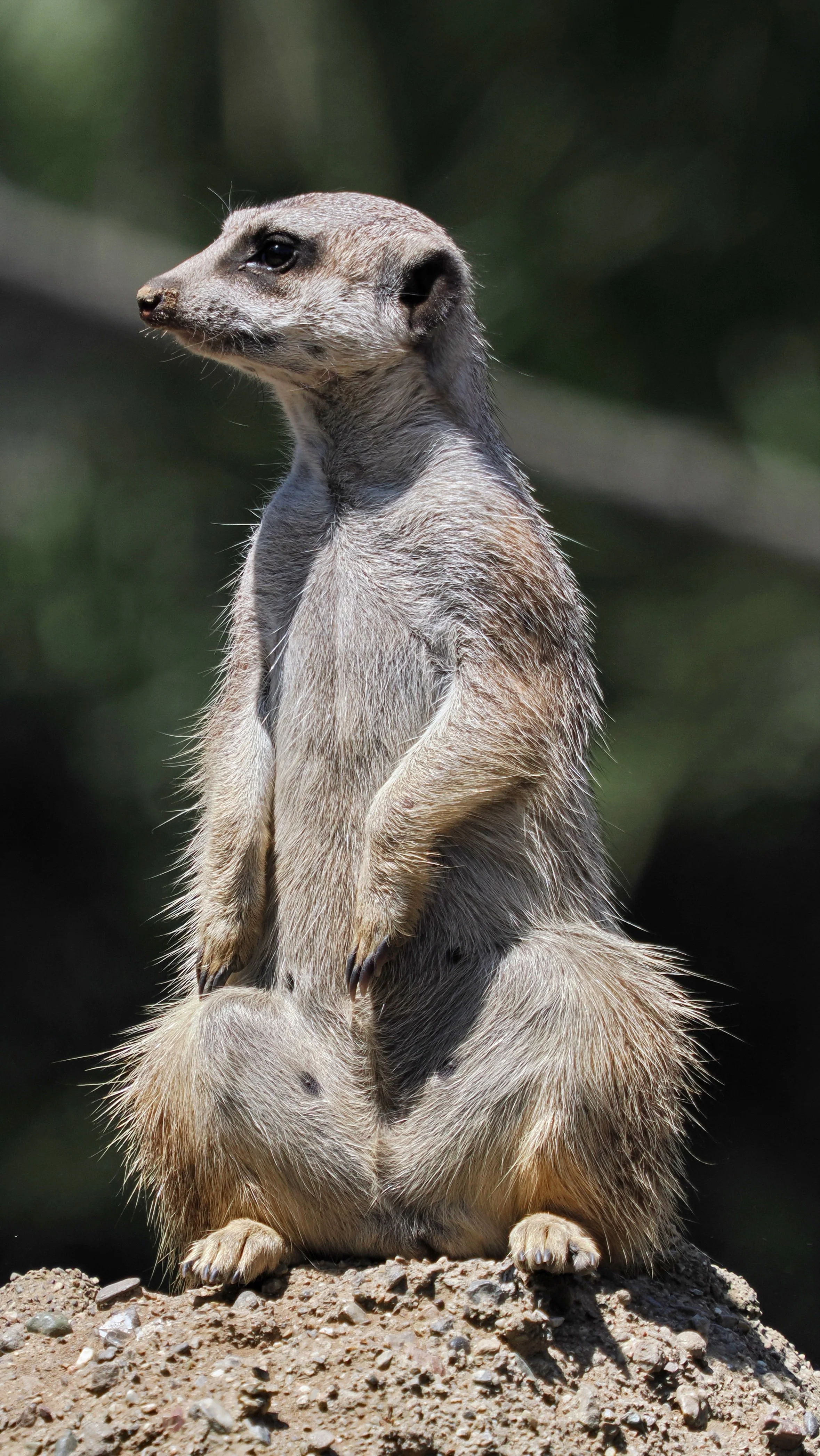 0_ZOO_087.JPG