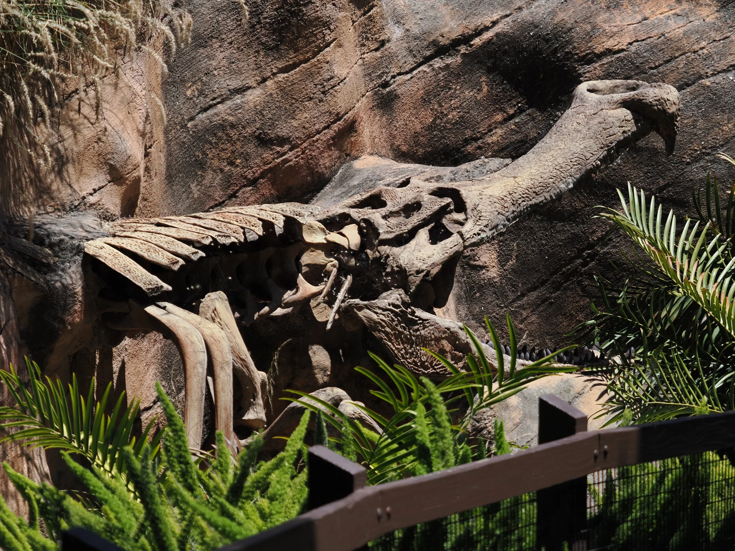 0_ZOO_089.JPG