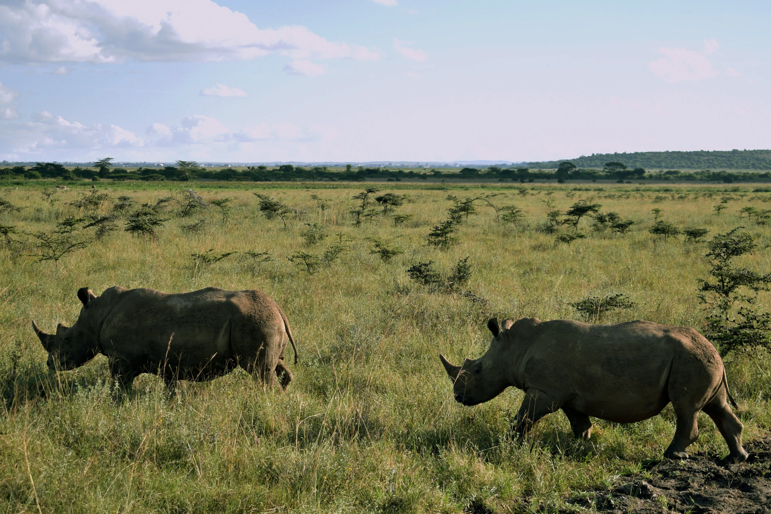 Image: Timothy K for Unsplash