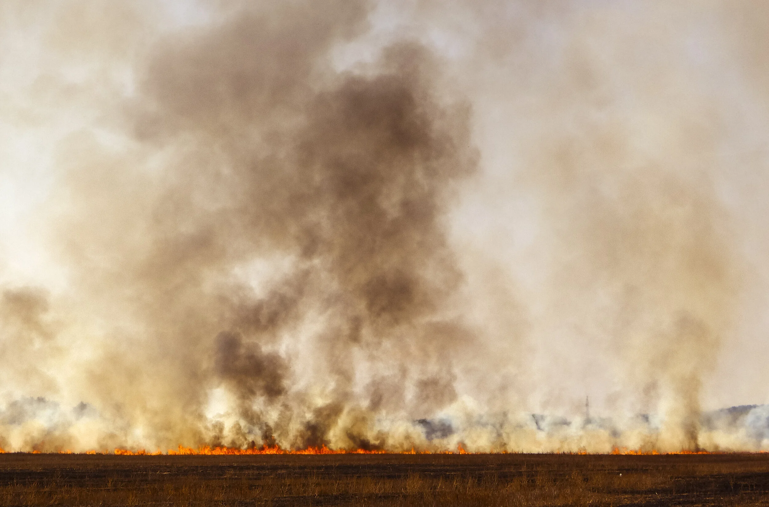 Image: Dominik Kiss for Unsplash