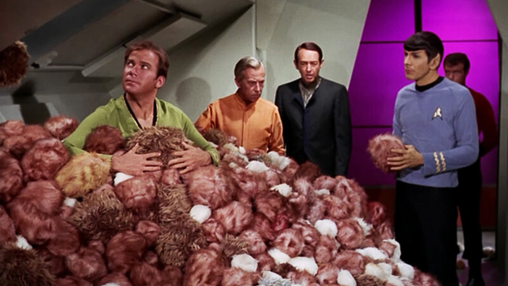 star-trek-trouble-with-tribbles.png