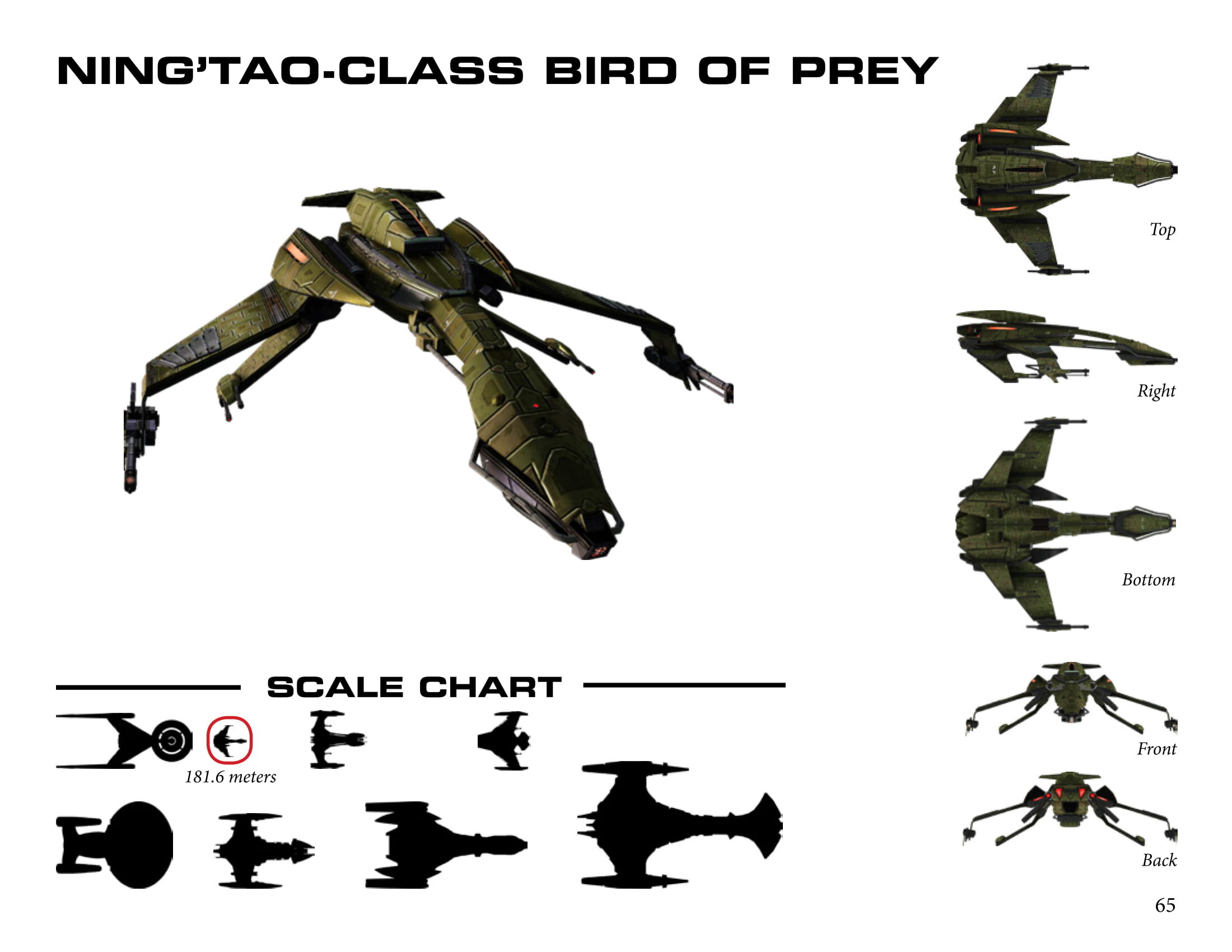 STO_NingTaoClassBirdofPrey.jpg