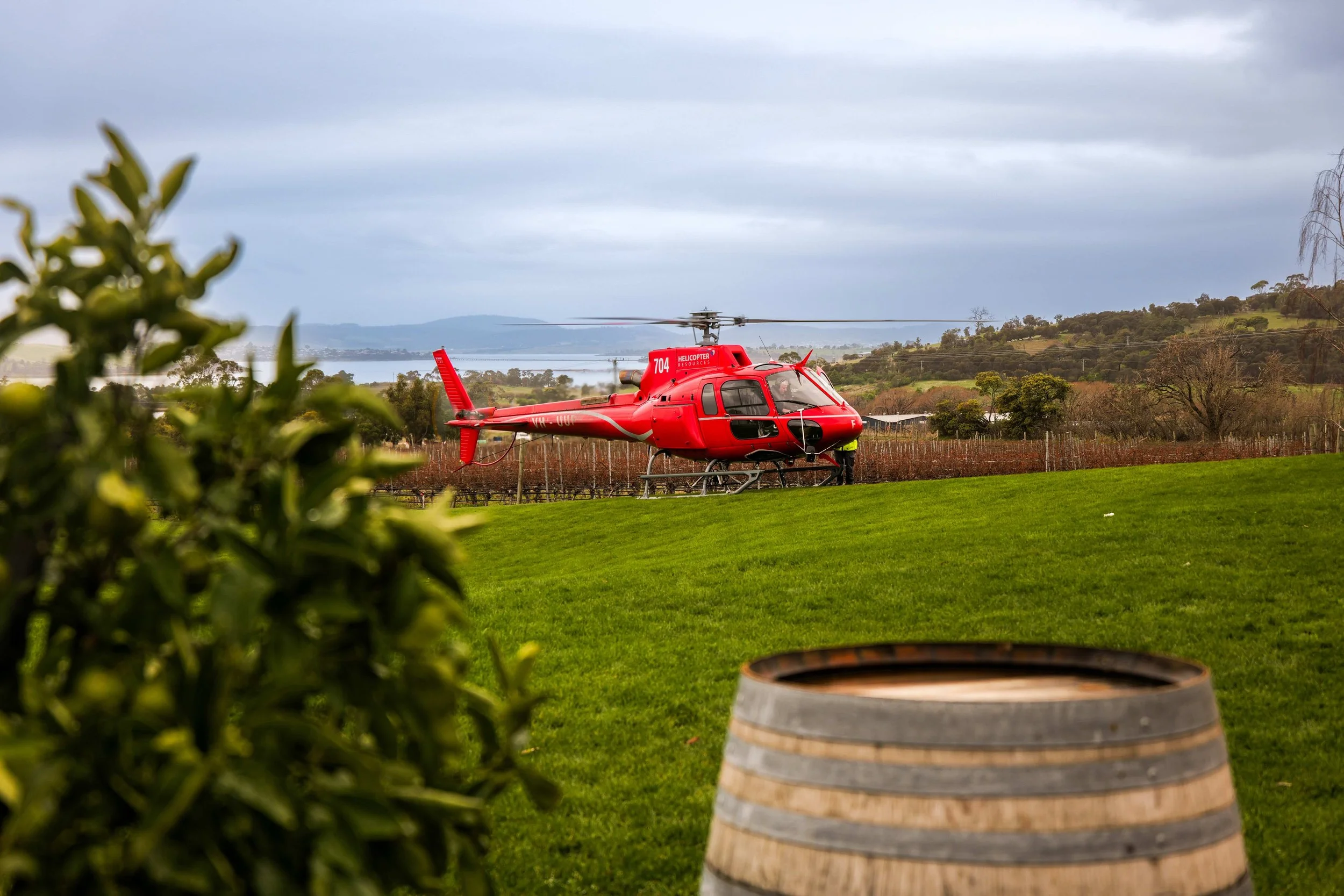 Scenic Heli Flight - Frogmore Winery Hobart