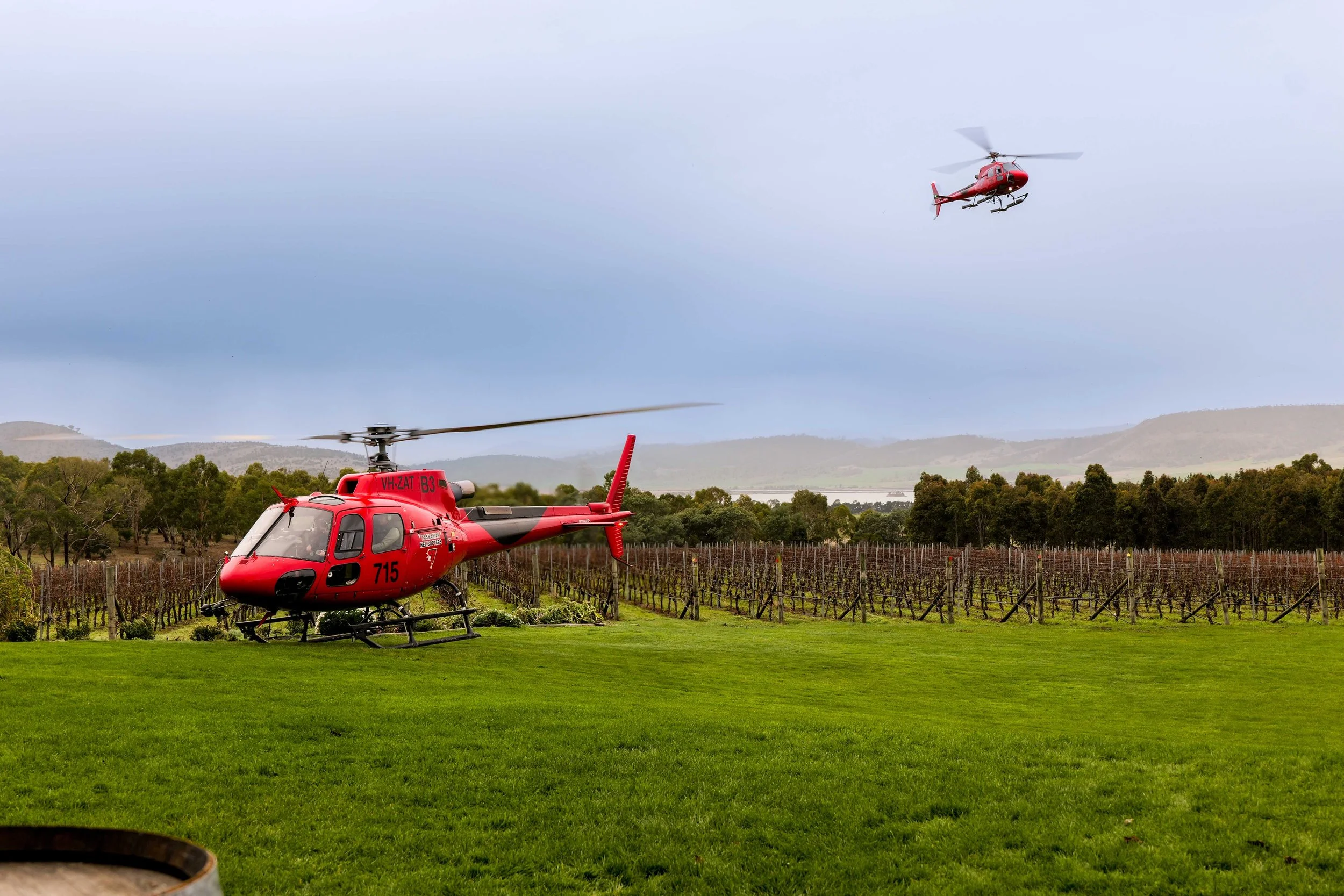 Scenic Heli Flight - Frogmore Winery Hobart