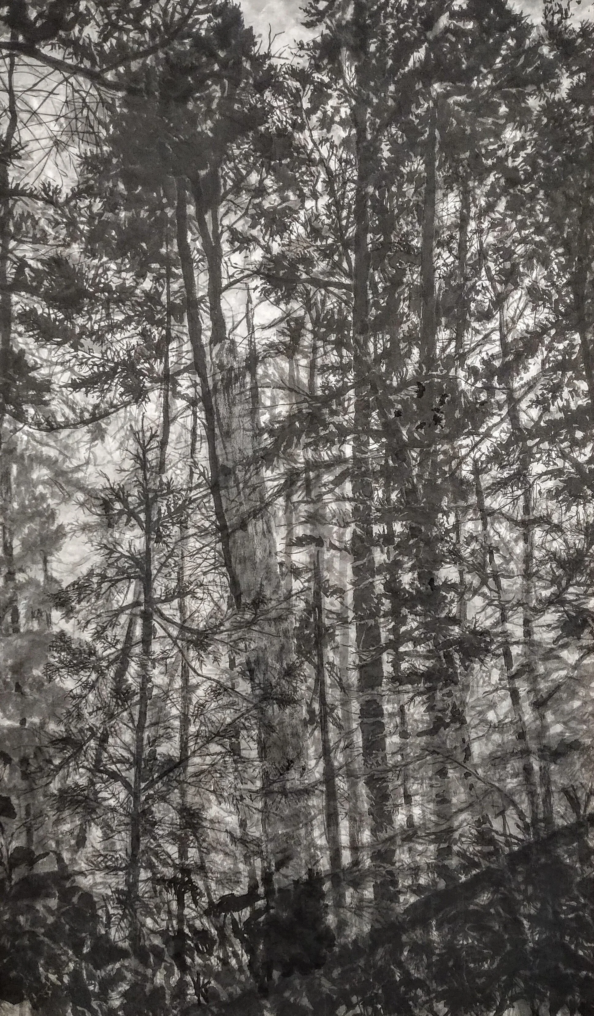 Eliz+woodland+image+1.jpg