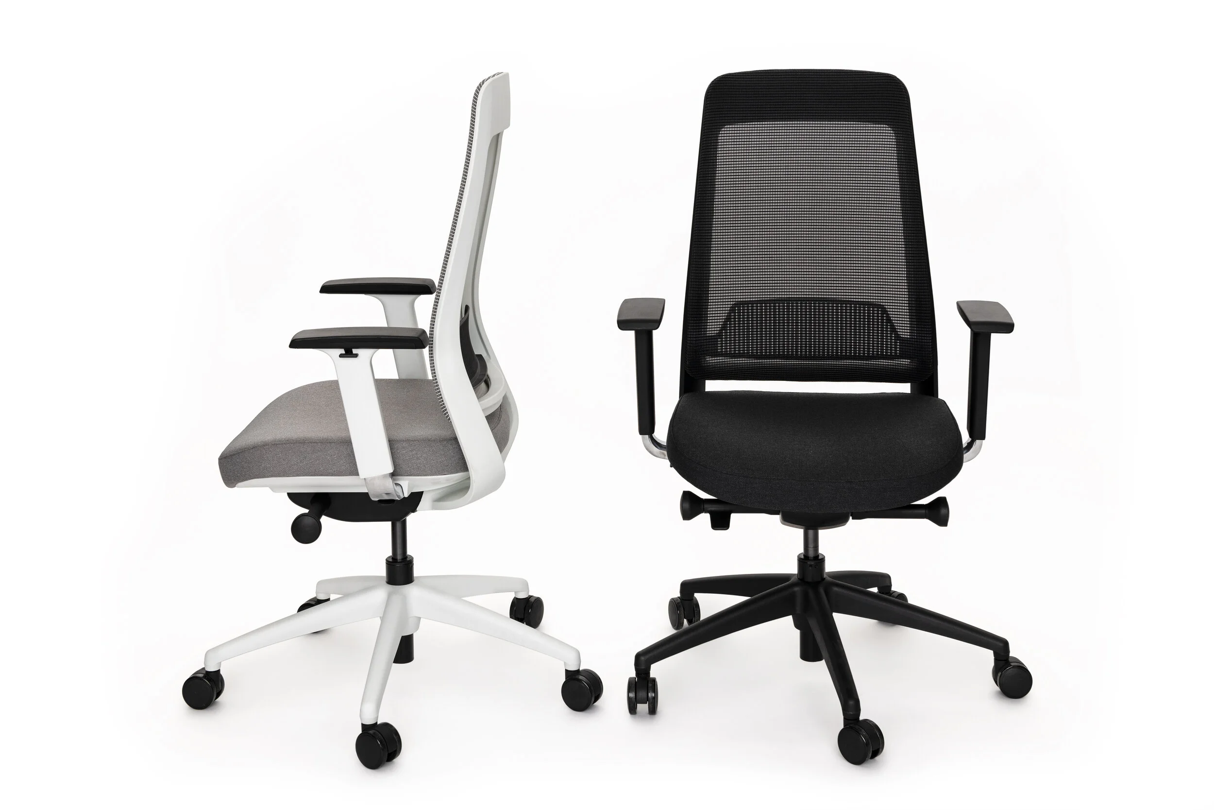 Copy of motion-bk-04.jpg