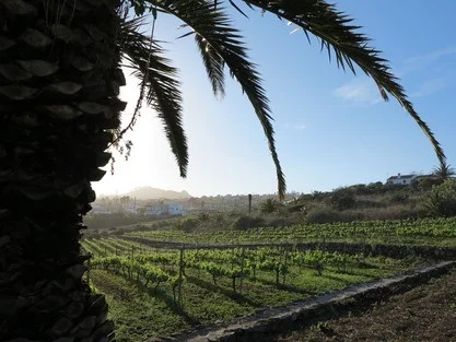 Finca la Hornaca1.jpg