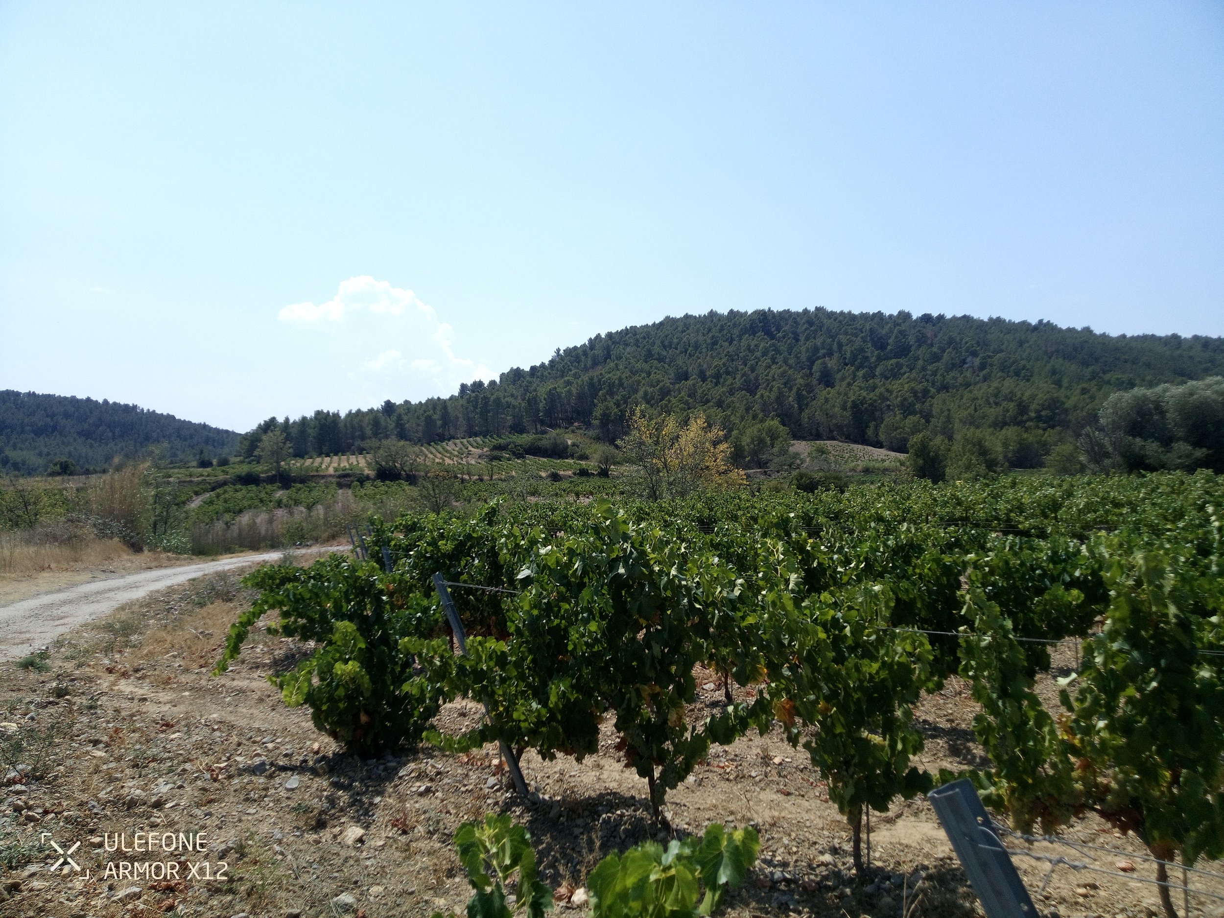 2024-08-07 13.02.51.jpg