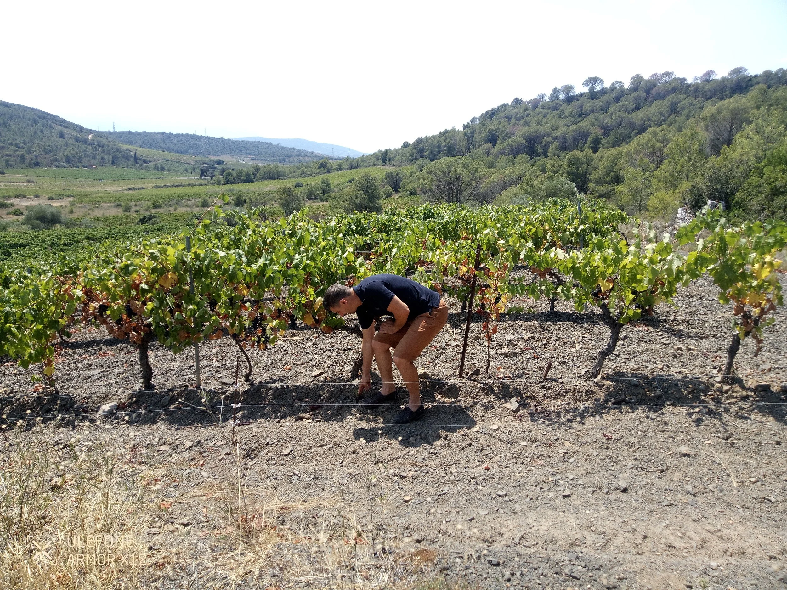 2024-08-07 13.12.05.jpg